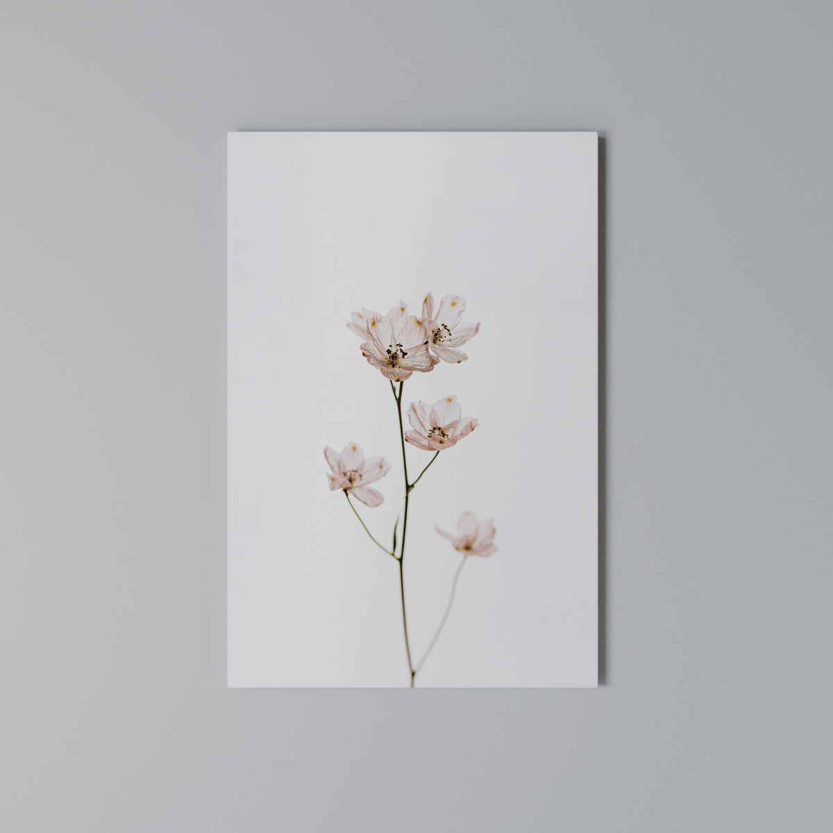 WHISPERS OF PINK Κατακόρυφος Πίνακας σε Καμβά