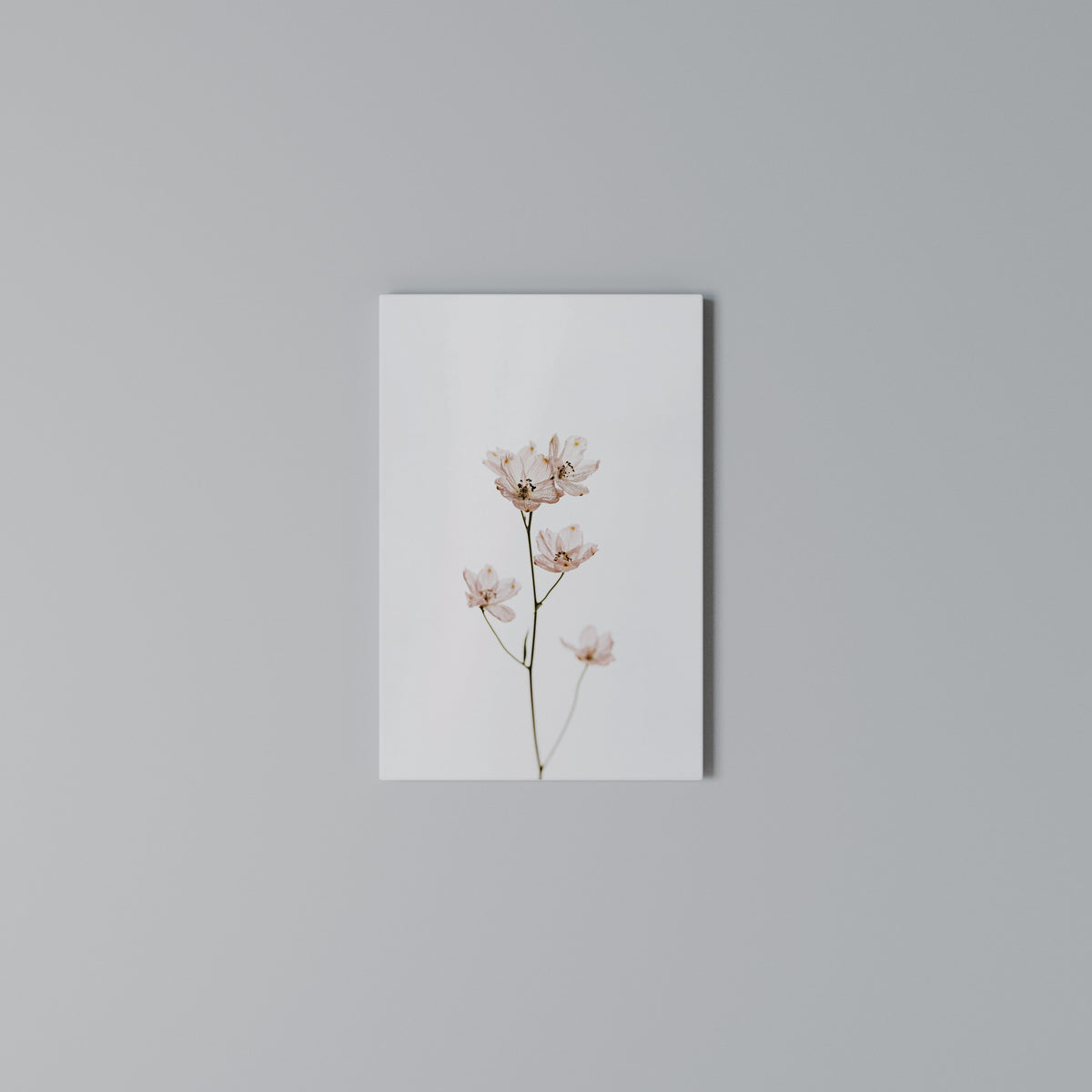 WHISPERS OF PINK Κατακόρυφος Πίνακας σε Καμβά
