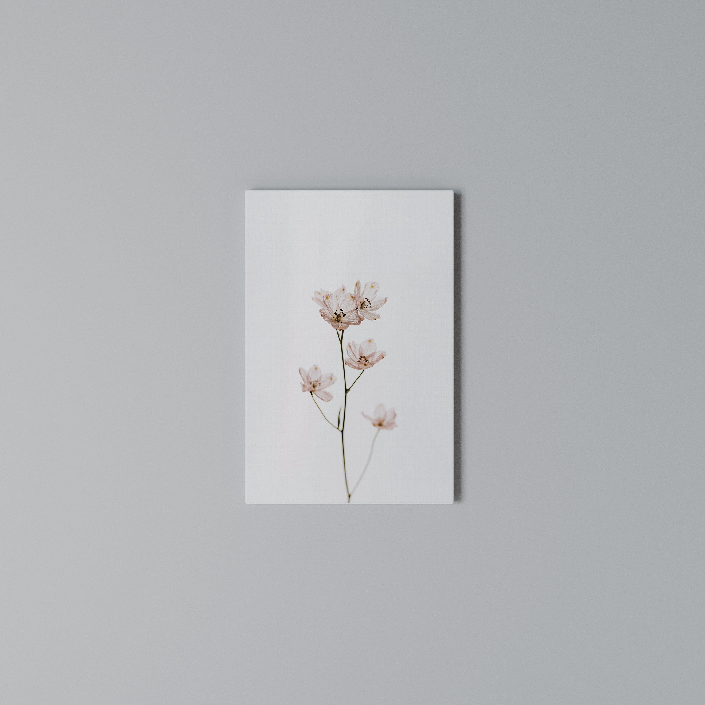 WHISPERS OF PINK Vertical Canvas Print