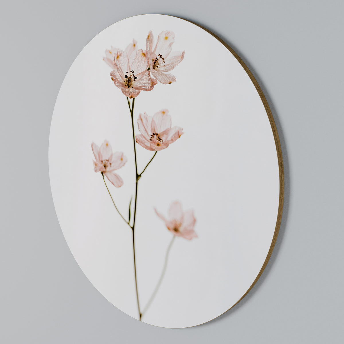 WHISPERS OF PINK Round Wall Art