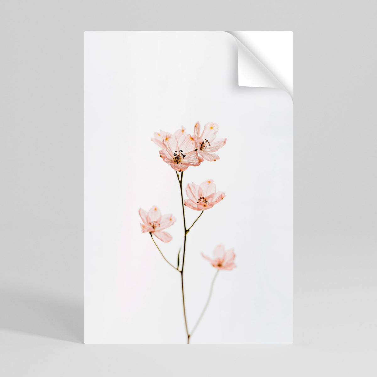 WHISPERS OF PINK Αυτοκόλλητη Αφίσα κάθετη
