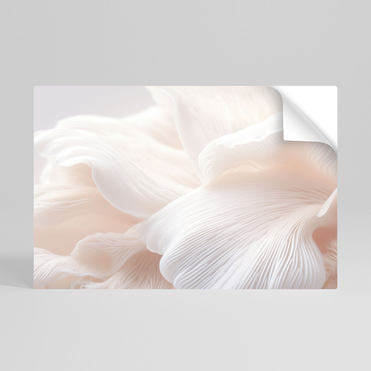 DELICATE PINK HARMONY Αυτοκόλλητη Αφίσα οριζόντια