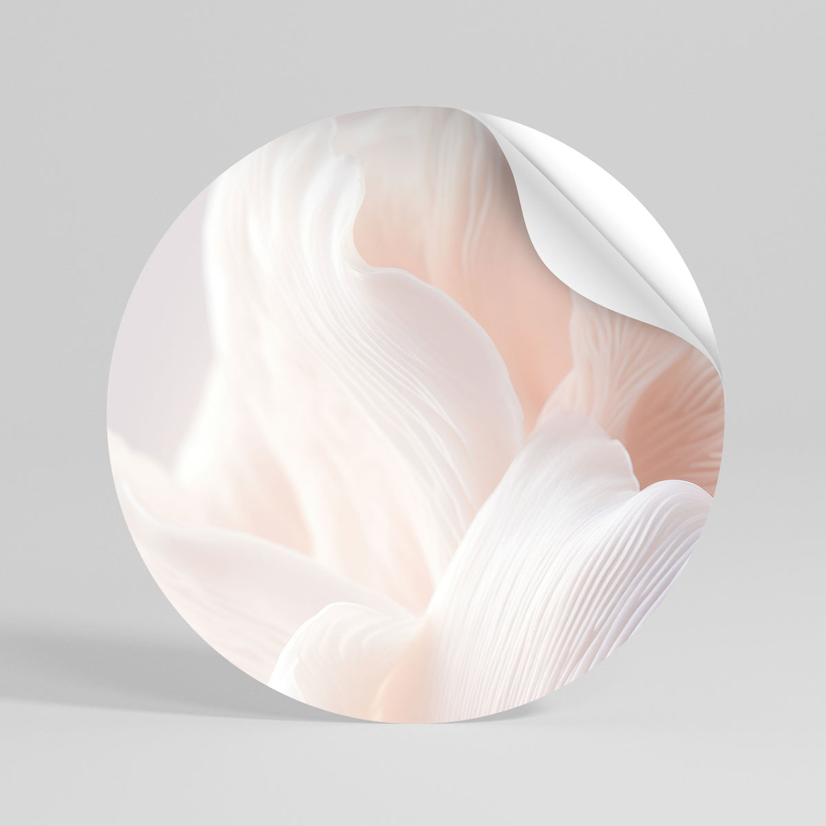 DELICATE PINK HARMONY Αυτοκόλλητη Αφίσα στρογγυλή