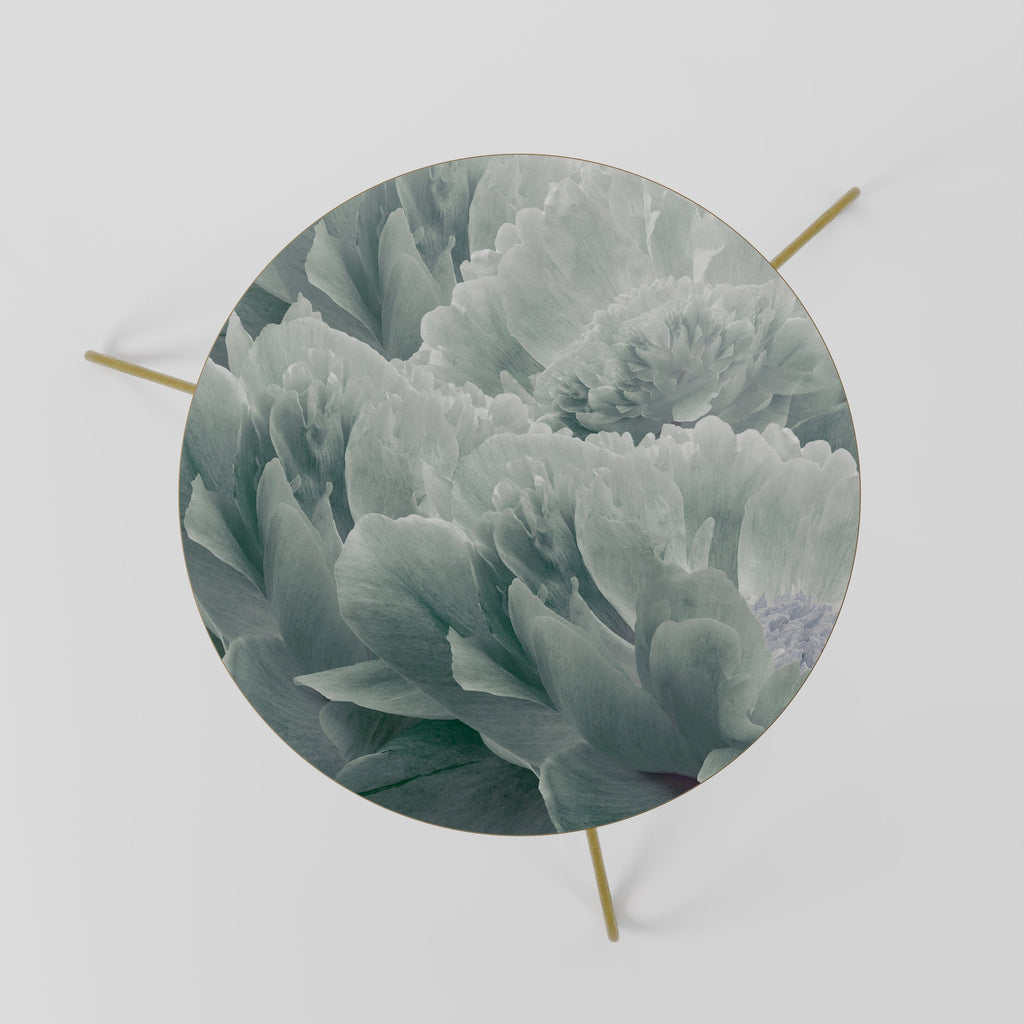 Τραπεζάκι Σαλονιού TREE PEONIE 60