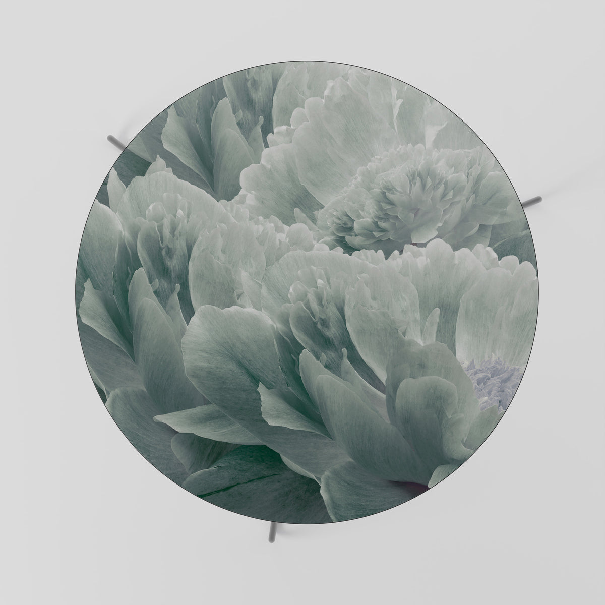 TREE PEONIES Τραπεζάκι σαλονιού
