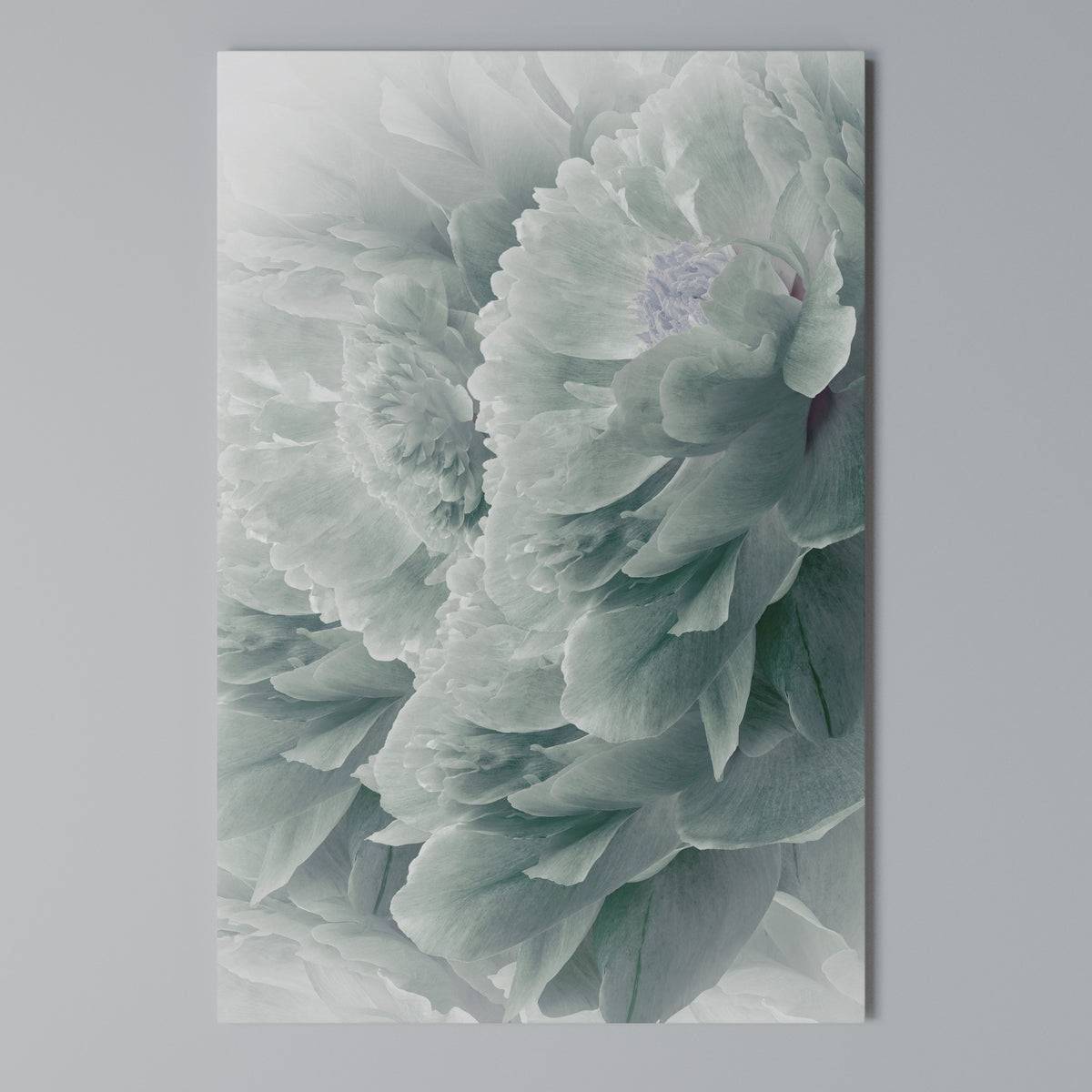 TREE PEONIES Κατακόρυφος Πίνακας σε Καμβά