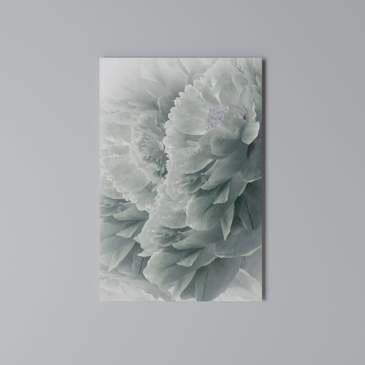 TREE PEONIES Κατακόρυφος Πίνακας σε Καμβά