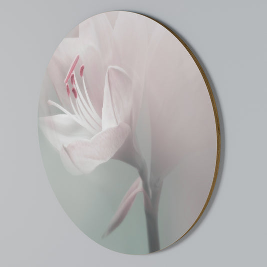GENTLE LILY Στρογγυλός πίνακας ζωγραφικής