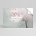 GENTLE LILY Peel and Stick Horizontal Poster