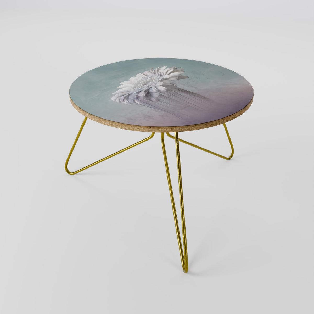 MELTING GERBERA Coffee Table