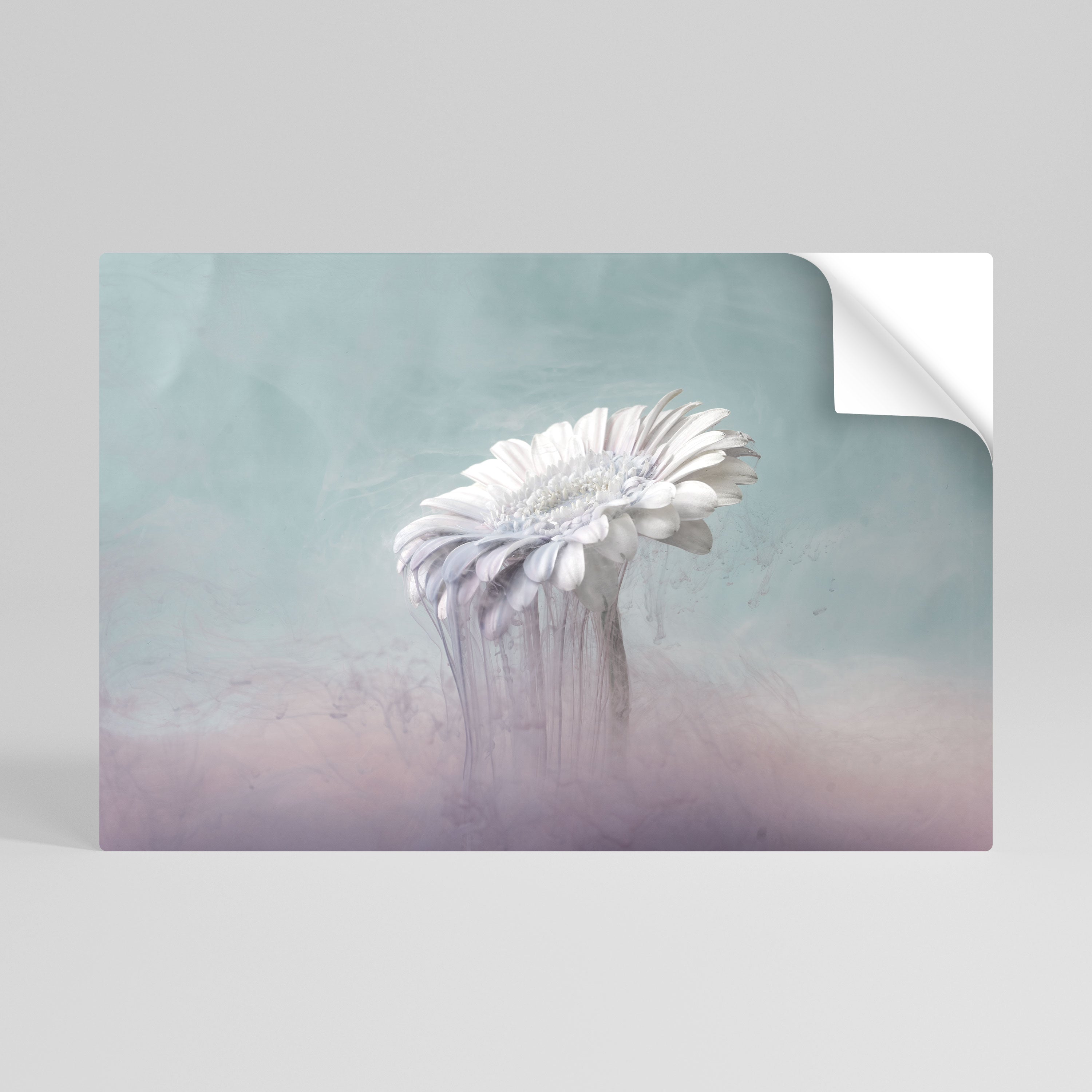 MELTING GERBERA Peel and Stick Horizontal Poster