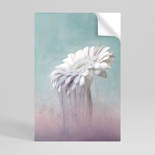 MELTING GERBERA Αυτοκόλλητη Αφίσα κάθετη