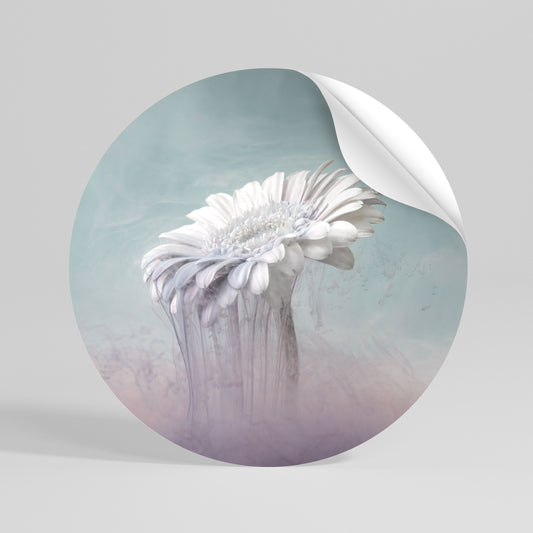MELTING GERBERA Αυτοκόλλητη Αφίσα στρογγυλή