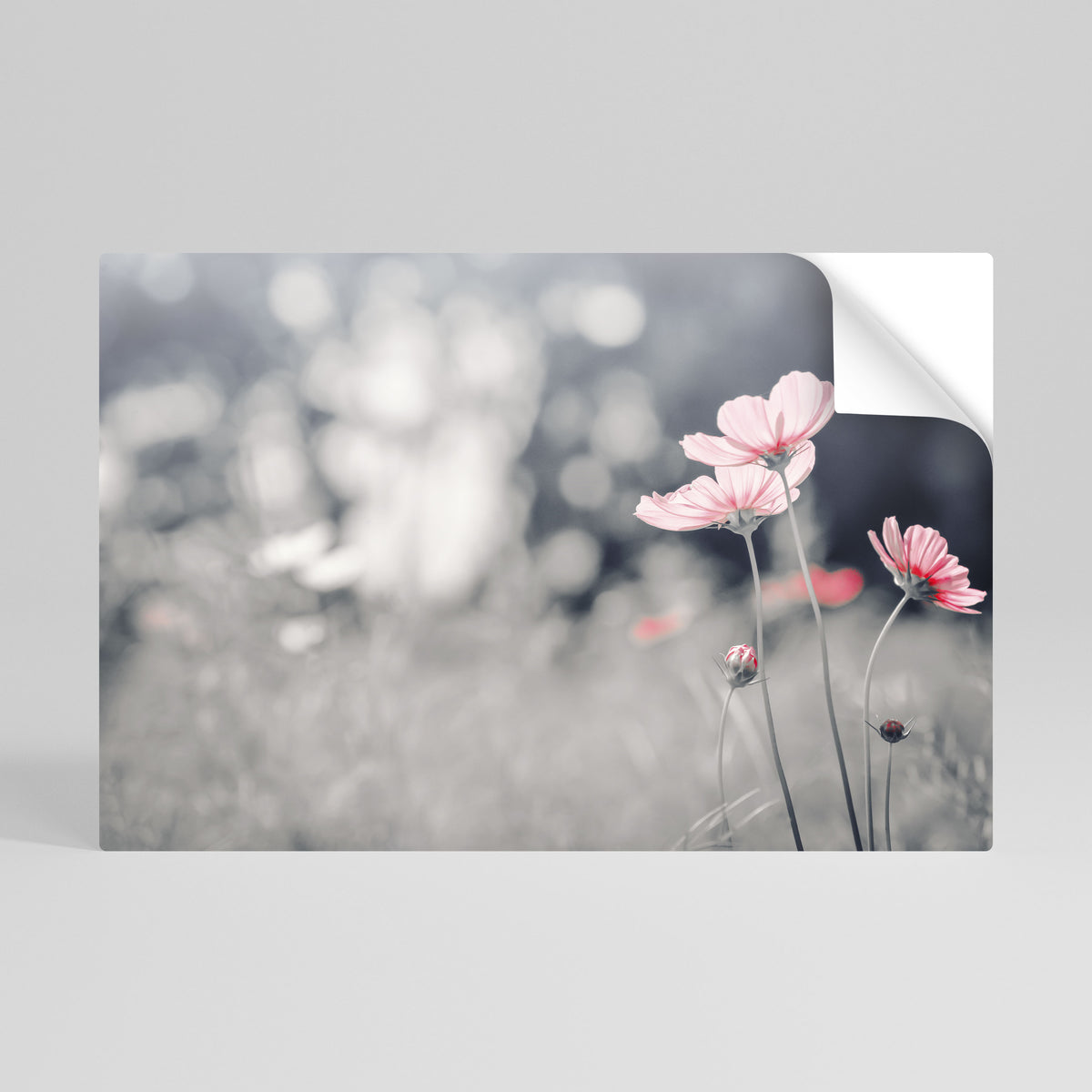 SUBTLE PETAL DANCE Αυτοκόλλητη Αφίσα οριζόντια