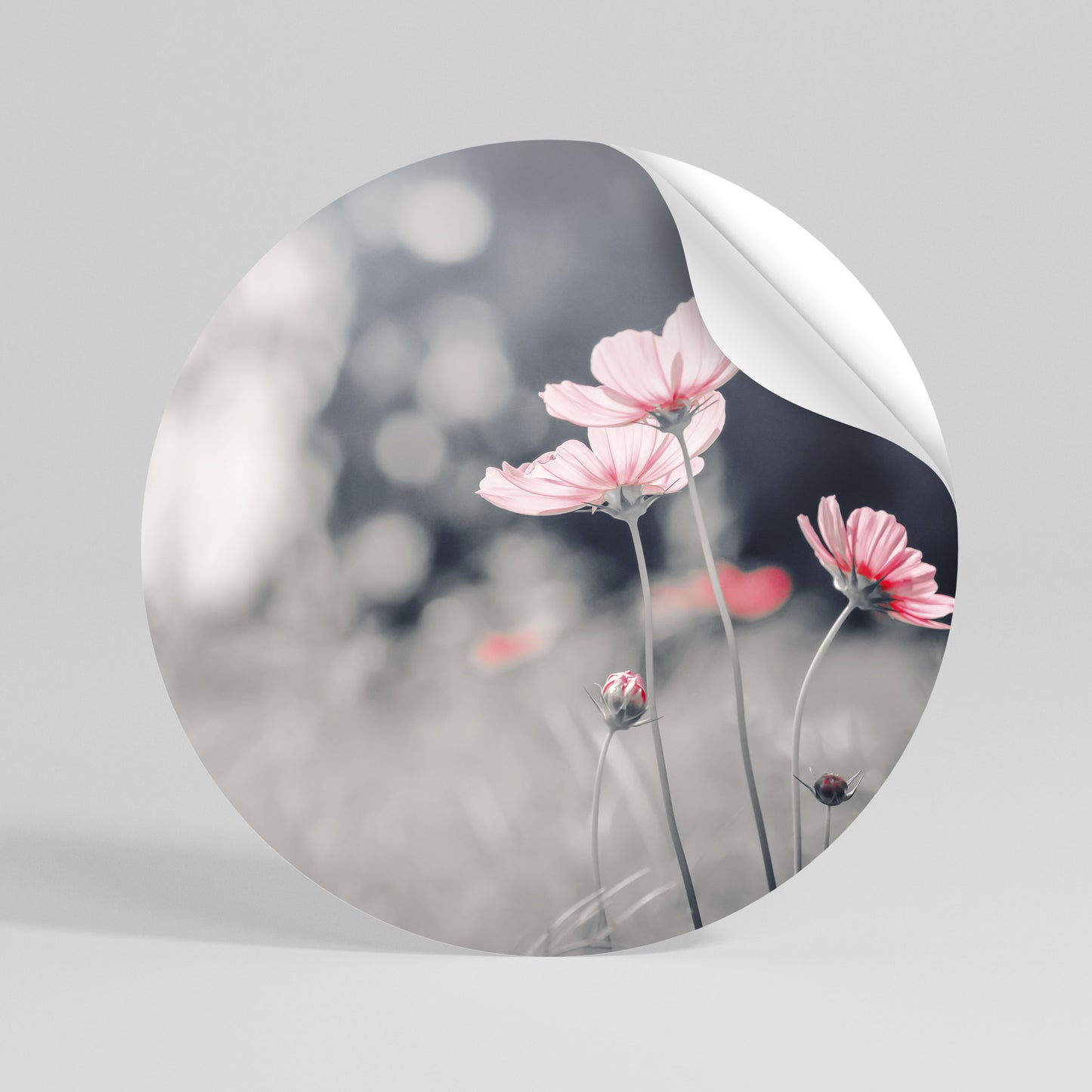 SUBTLE PETAL DANCE Αυτοκόλλητη Αφίσα στρογγυλή