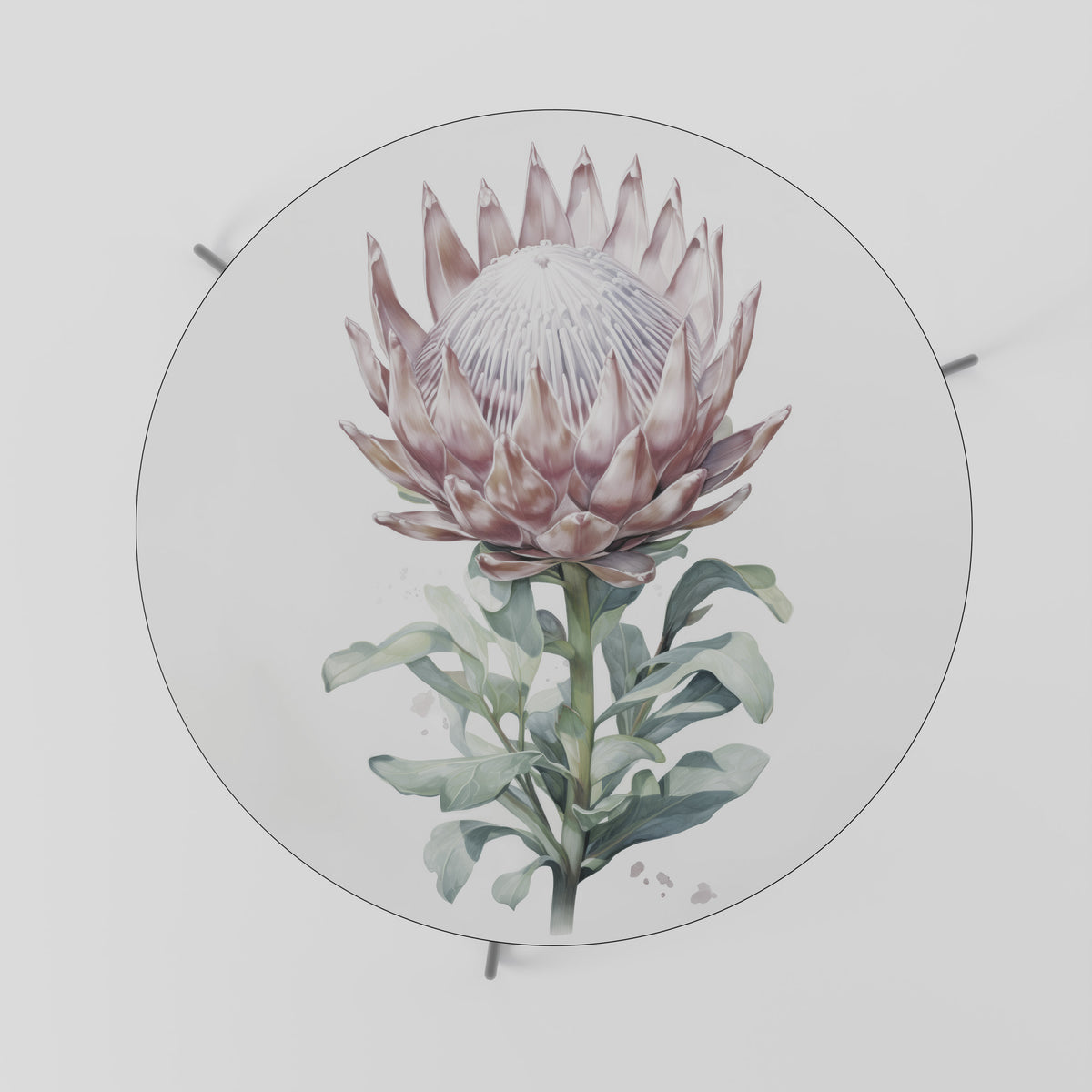 ROYAL PROTEA Coffee Table