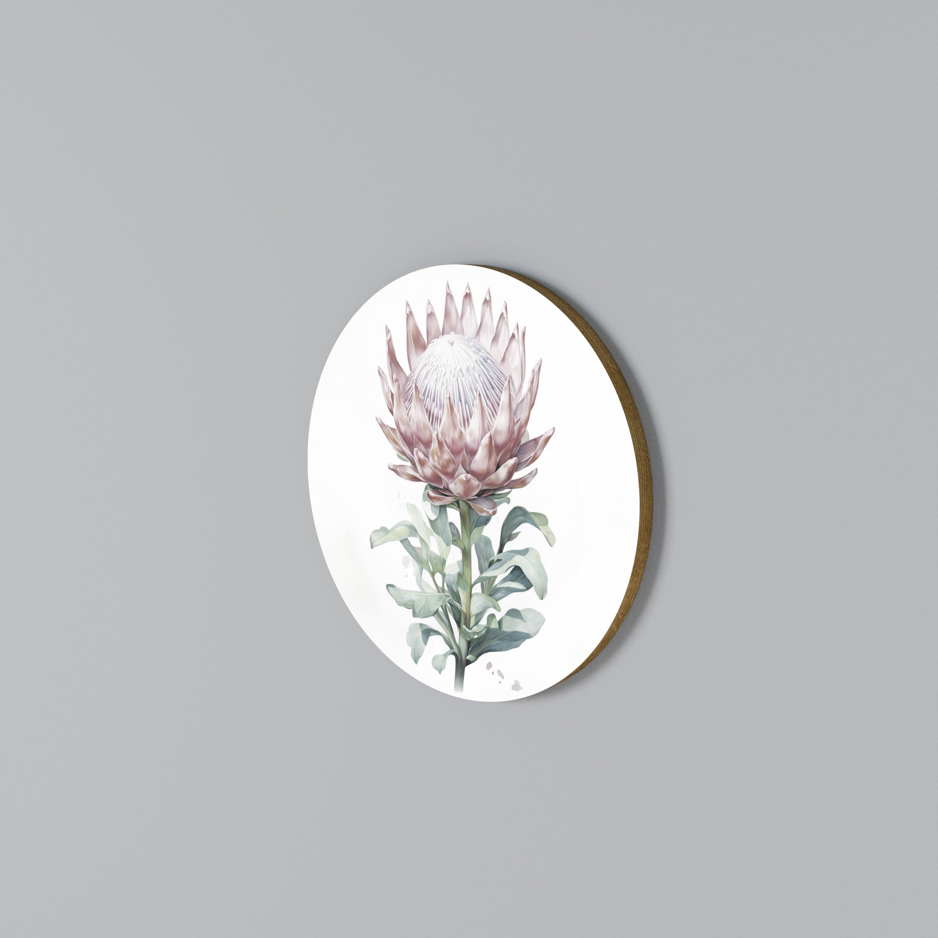 ROYAL PROTEA Round Wall Art