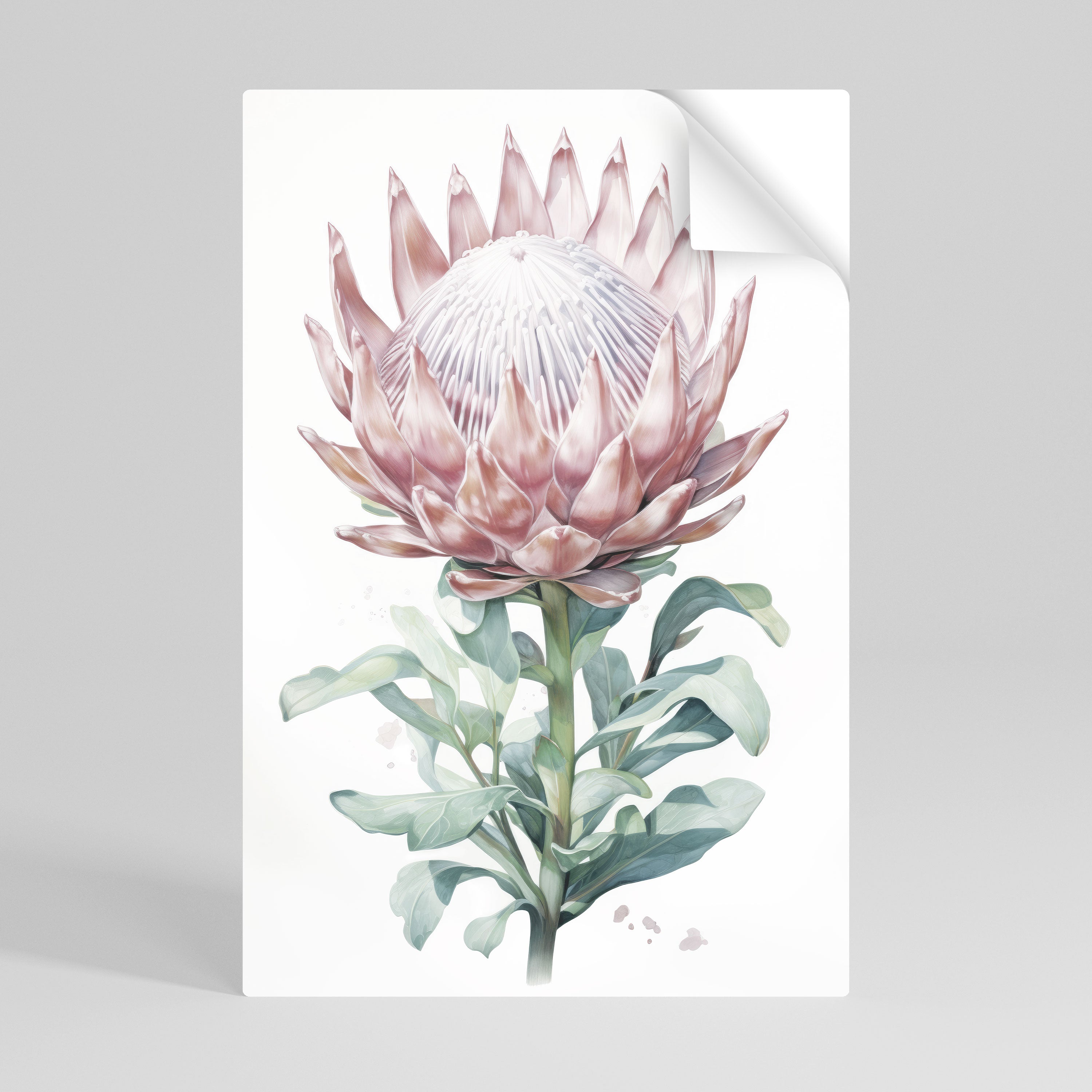 ROYAL PROTEA Peel and Stick Vertical Poster