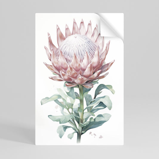 ROYAL PROTEA Αυτοκόλλητη Αφίσα κάθετη