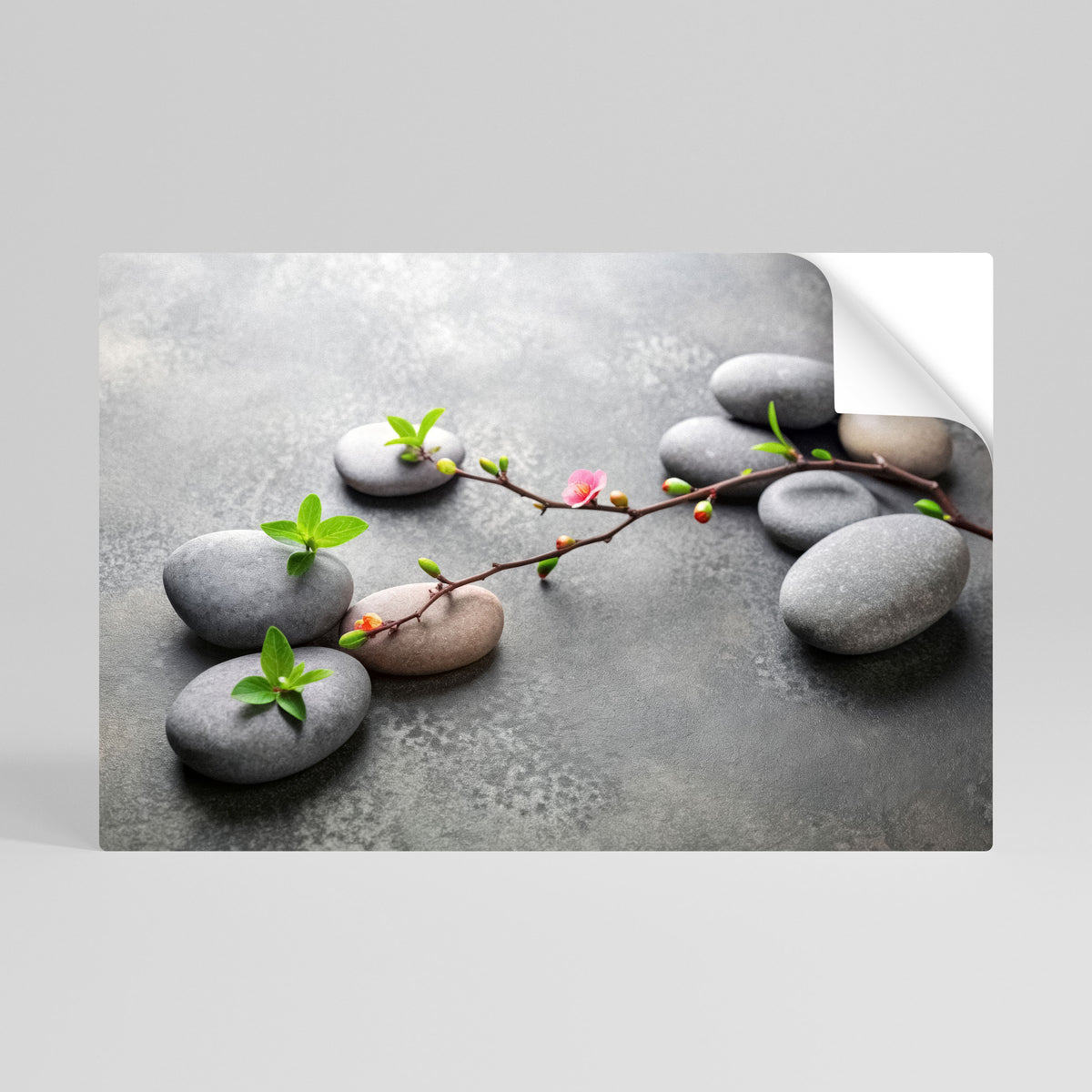 STONES AND BLOSSOMS Αυτοκόλλητη Αφίσα οριζόντια