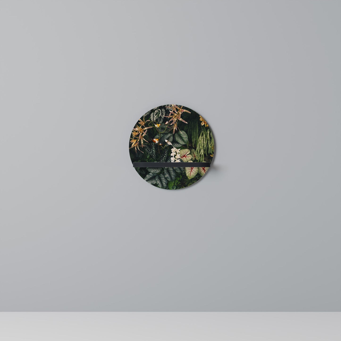 SILENT WILDERNESS Art Shelf