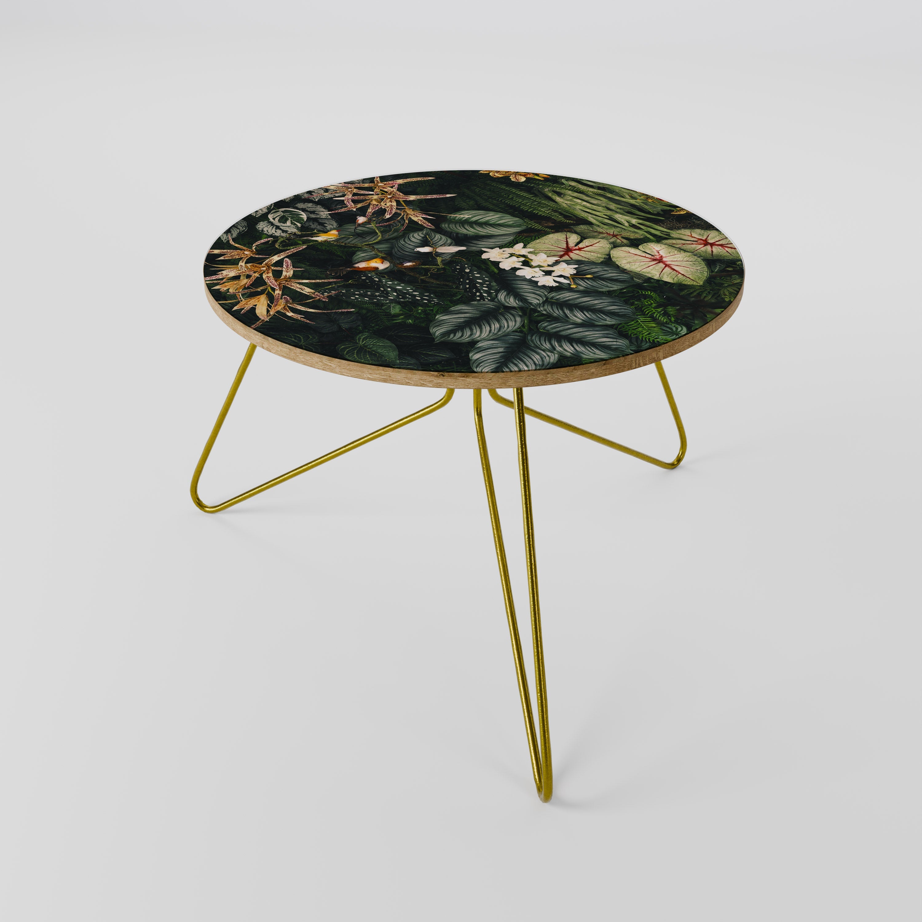 SILENT WILDERNESS Coffee Table 60