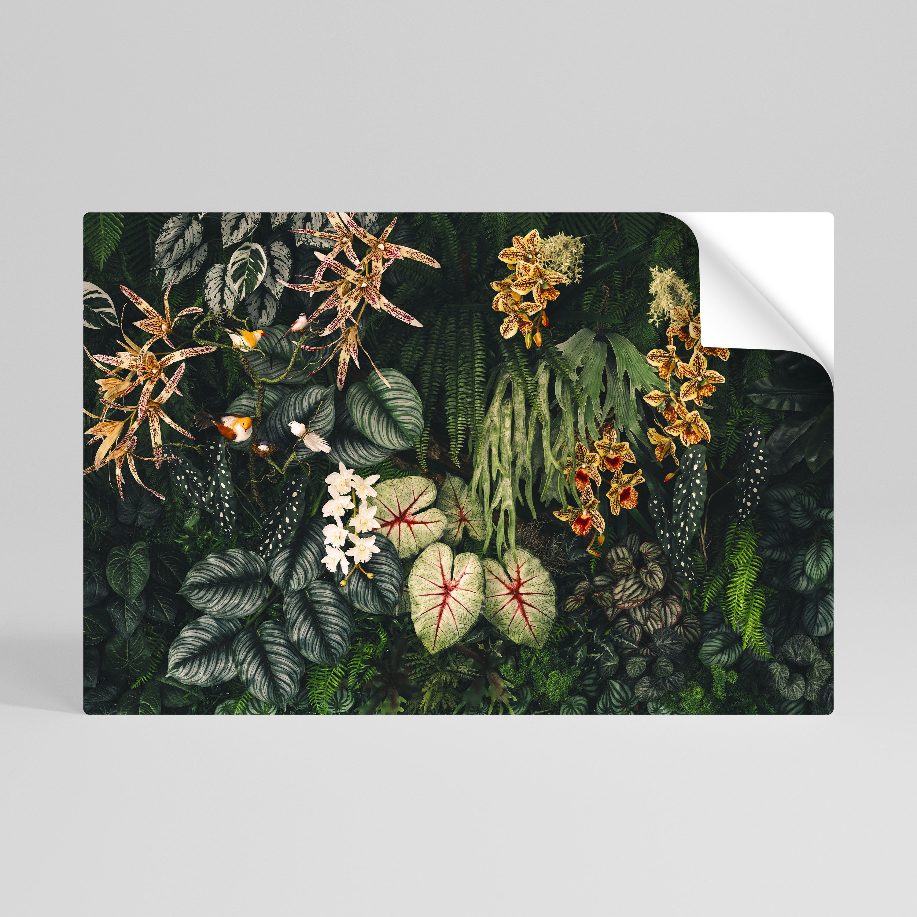 SILENT WILDERNESS Αυτοκόλλητη Αφίσα οριζόντια