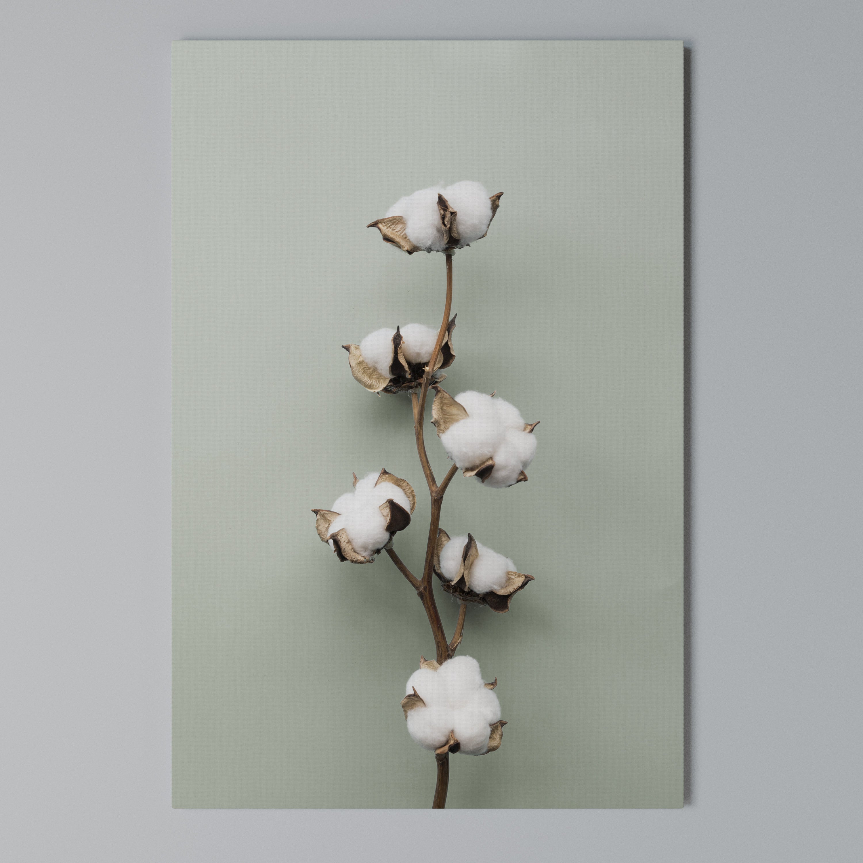 COTTON DREAMS UNFOLDED Κατακόρυφος Πίνακας σε Καμβά