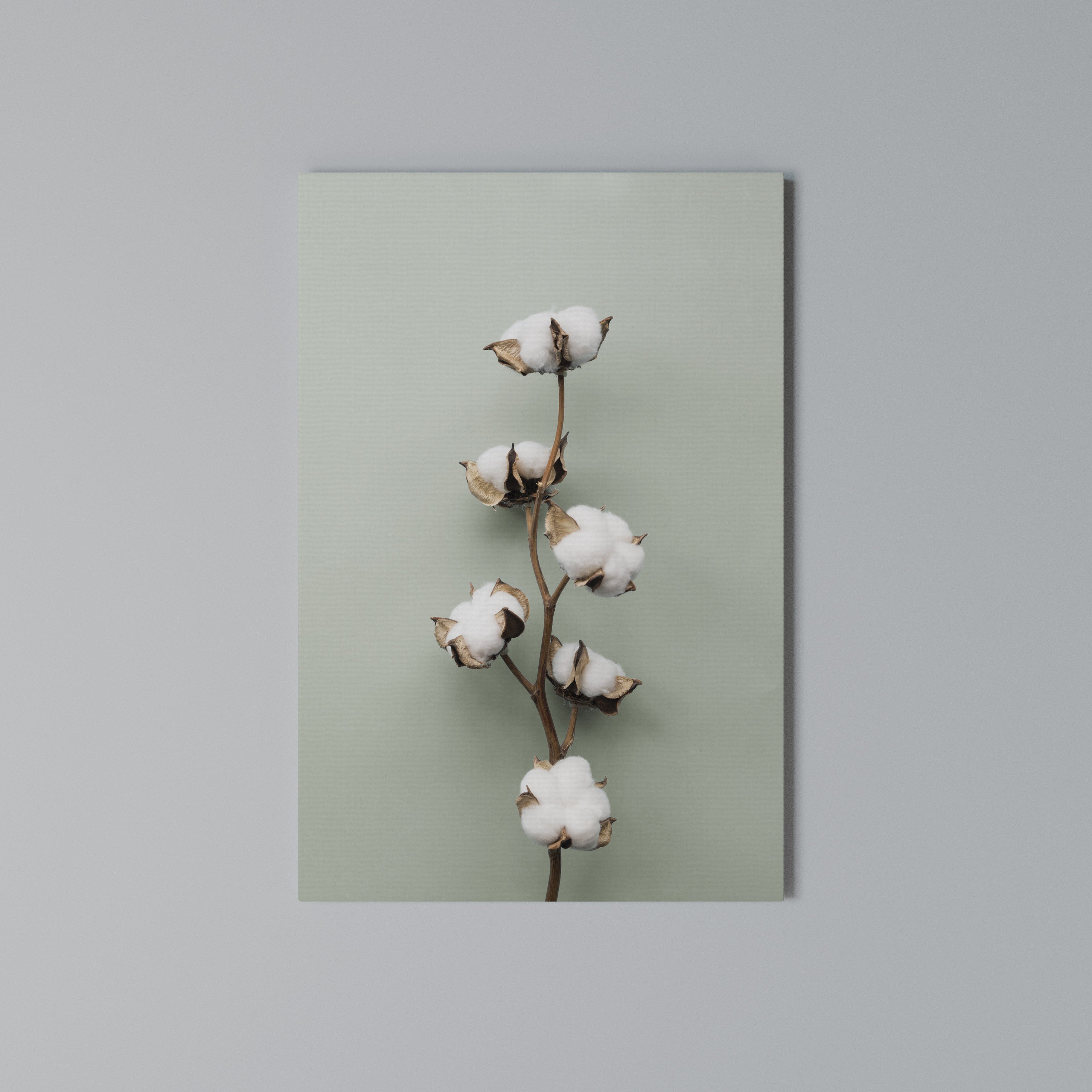 COTTON DREAMS UNFOLDED Κατακόρυφος Πίνακας σε Καμβά