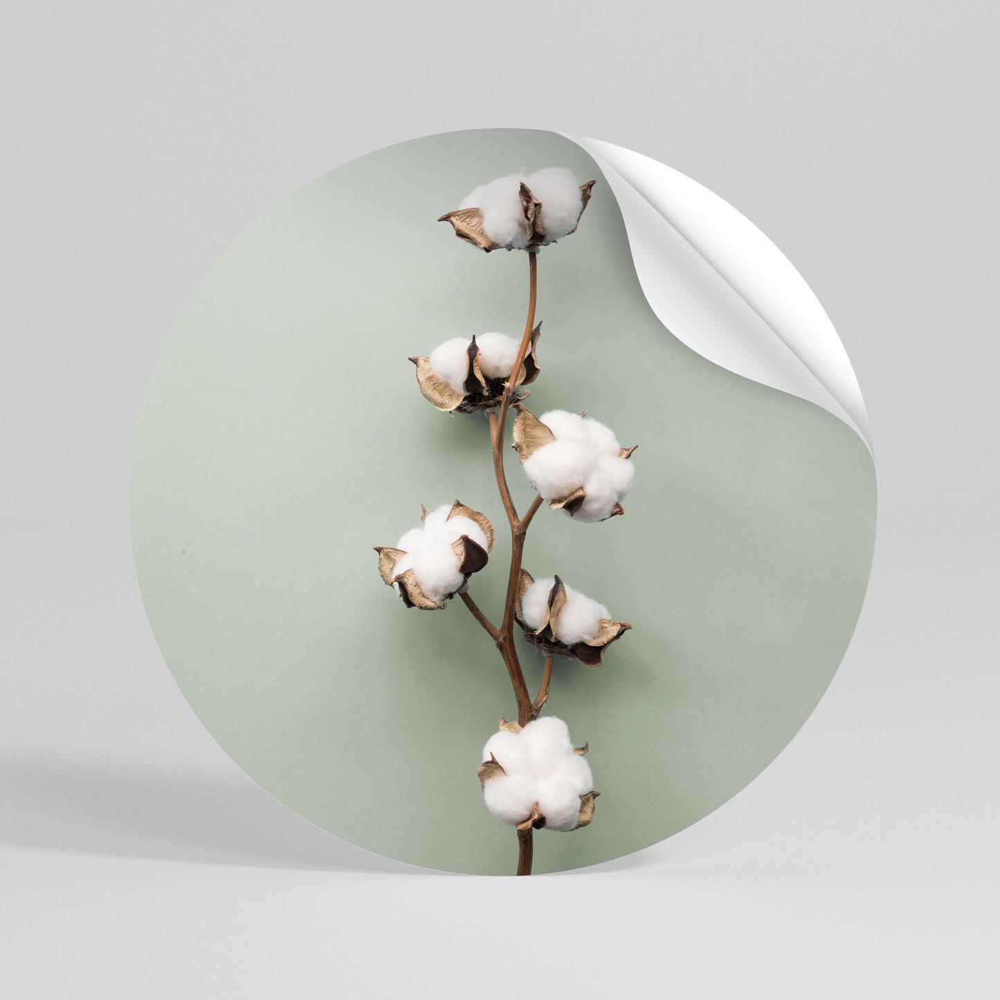 COTTON DREAMS UNFOLDED Peel and Stick Round Sticker