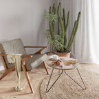 SOFTEN POPPY Coffee Table