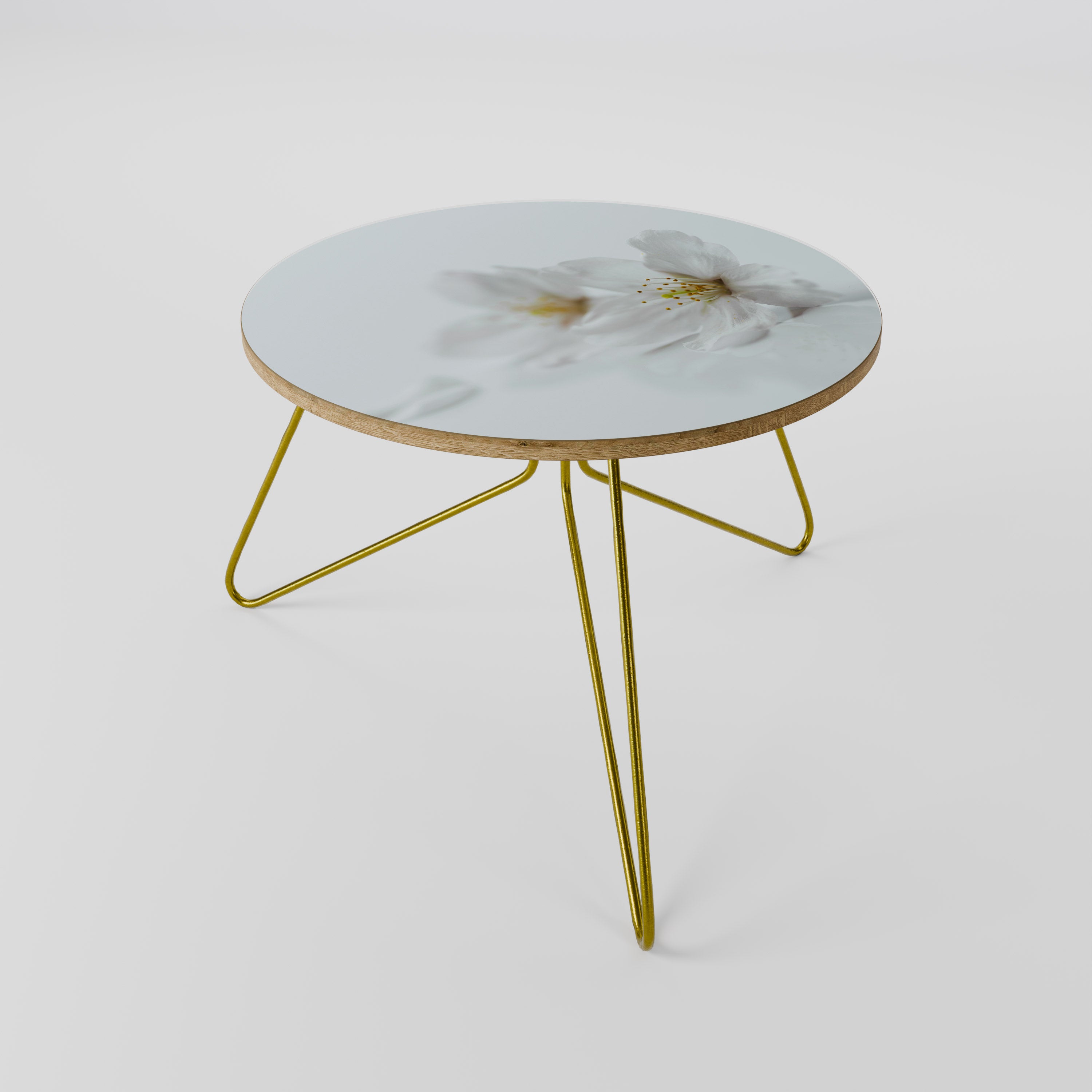 FLEETING WHITE PETALS Τραπεζάκι σαλονιού
