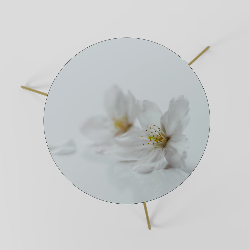 FLEETING WHITE PETALS Coffee Table 60