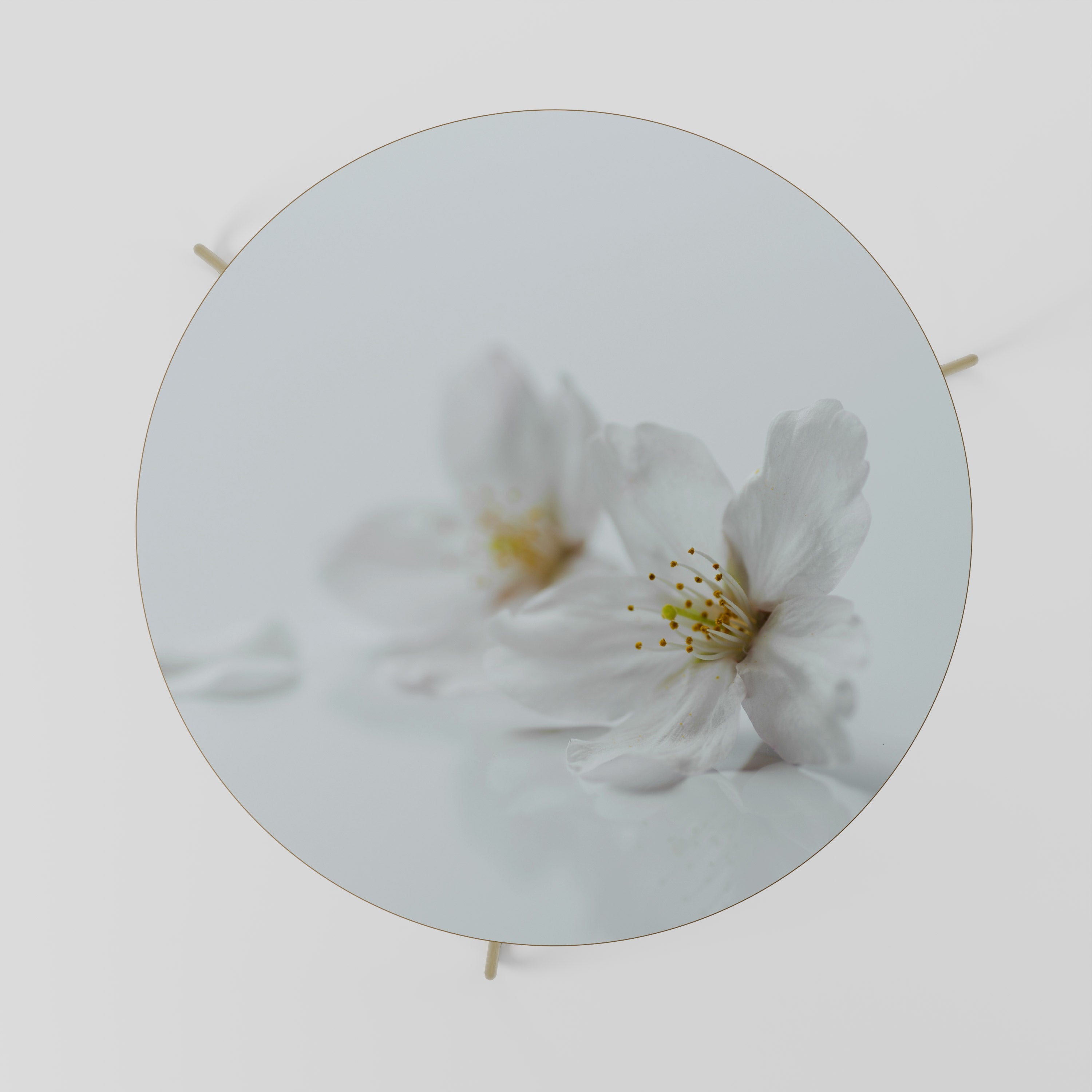 FLEETING WHITE PETALS Coffee Table 69