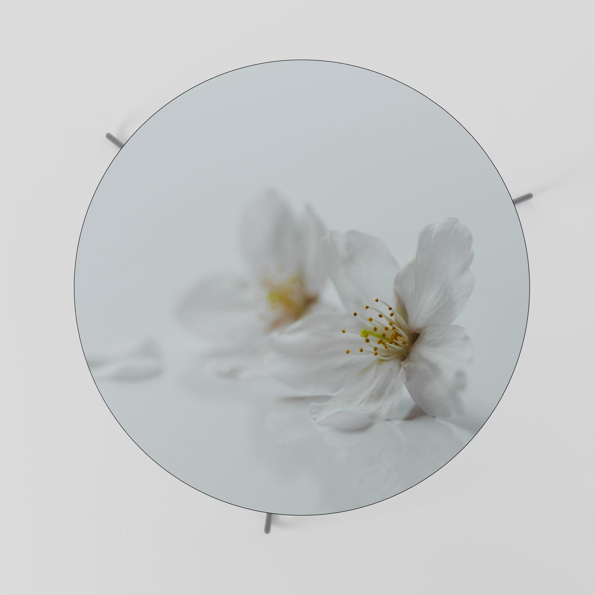 FLEETING WHITE PETALS Τραπεζάκι σαλονιού