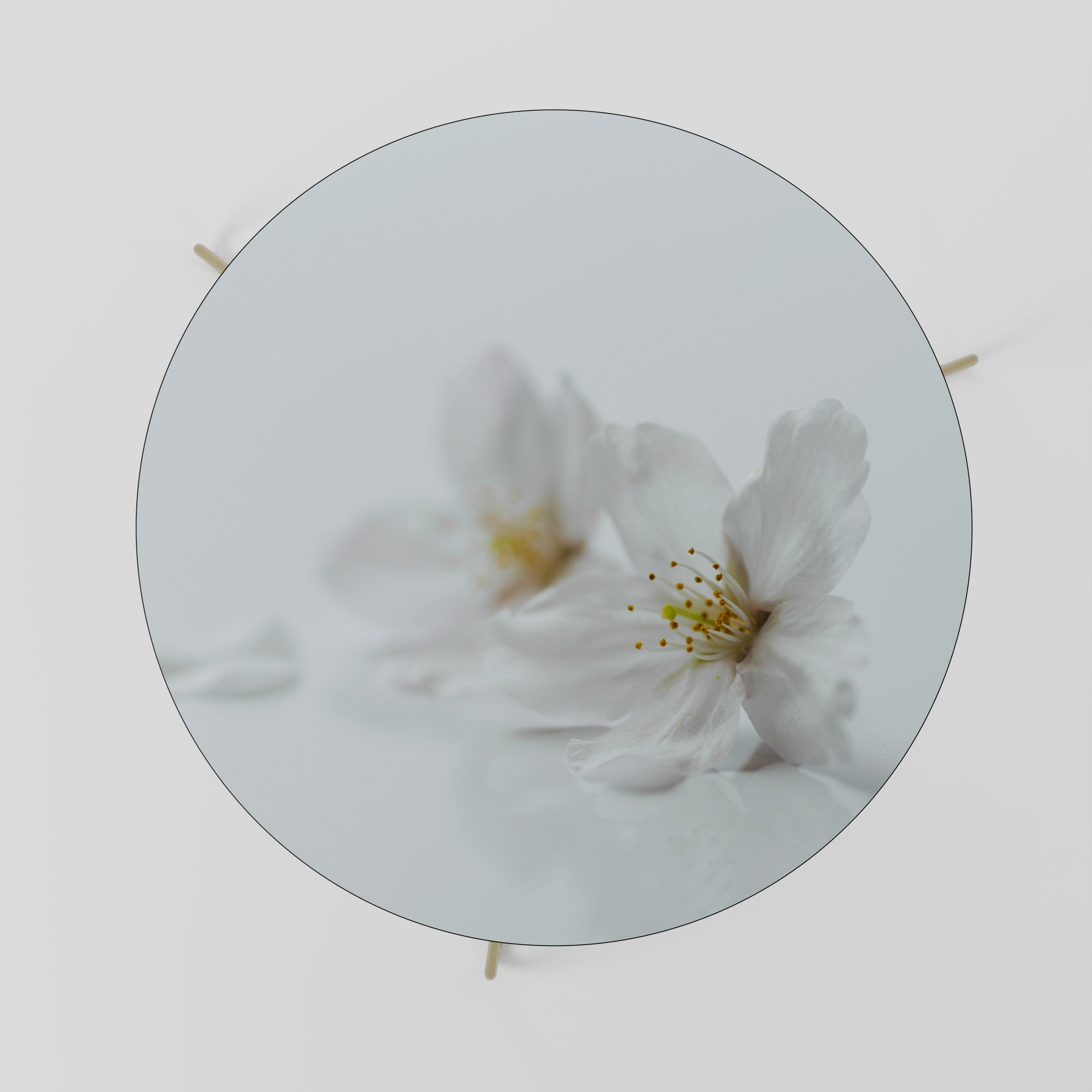 FLEETING WHITE PETALS Coffee Table 69