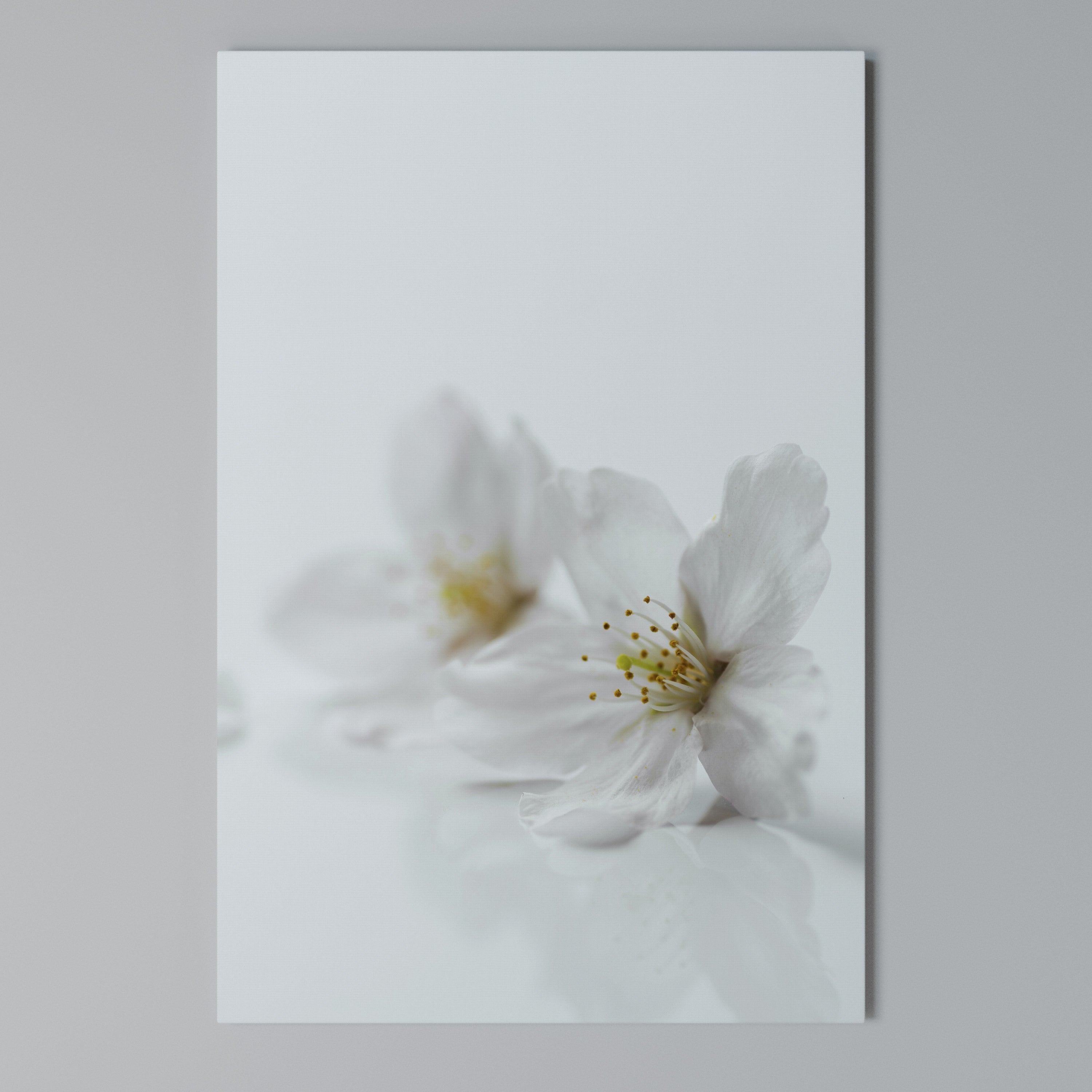 FLEETING WHITE PETALS Κατακόρυφος Πίνακας σε Καμβά
