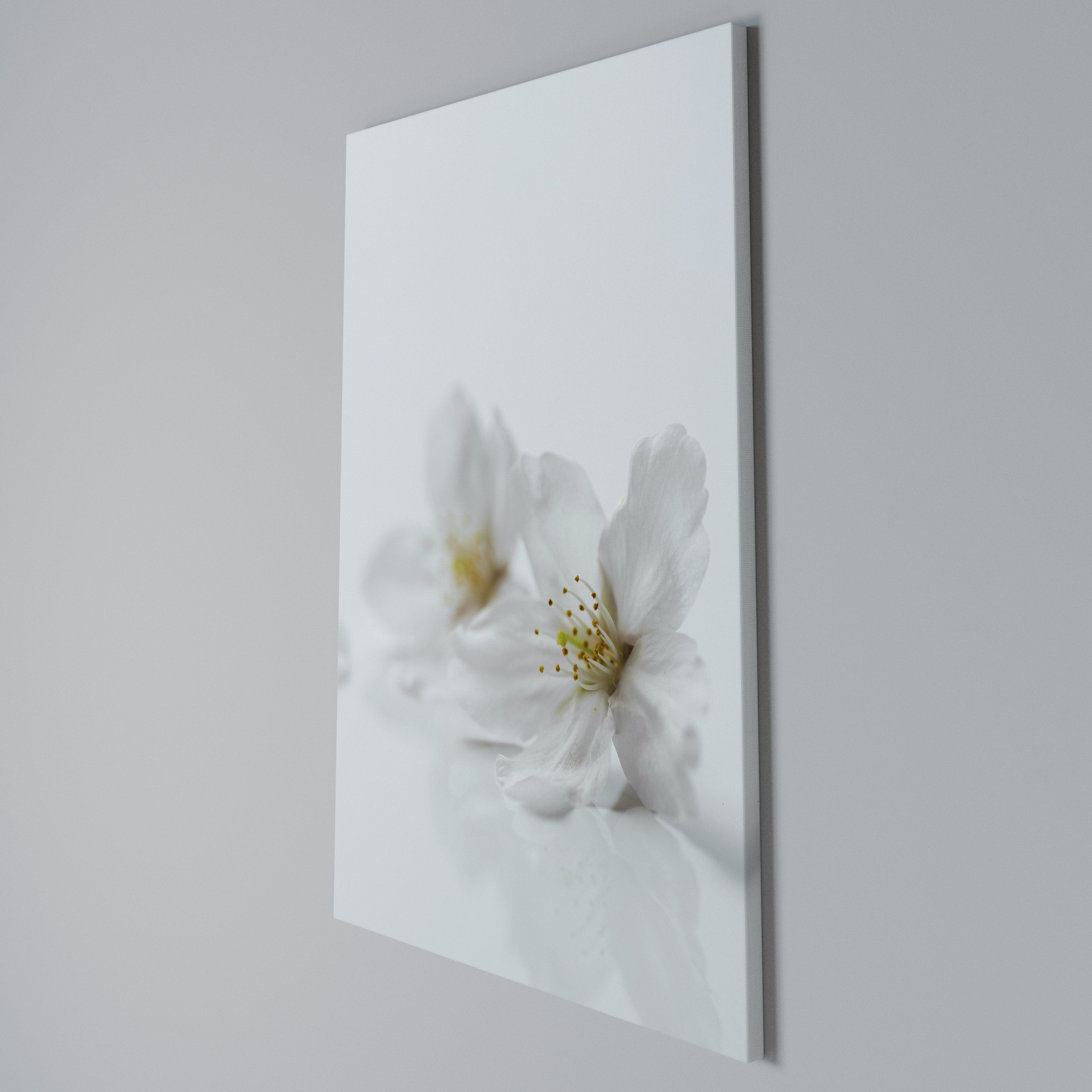 FLEETING WHITE PETALS Κατακόρυφος Πίνακας σε Καμβά