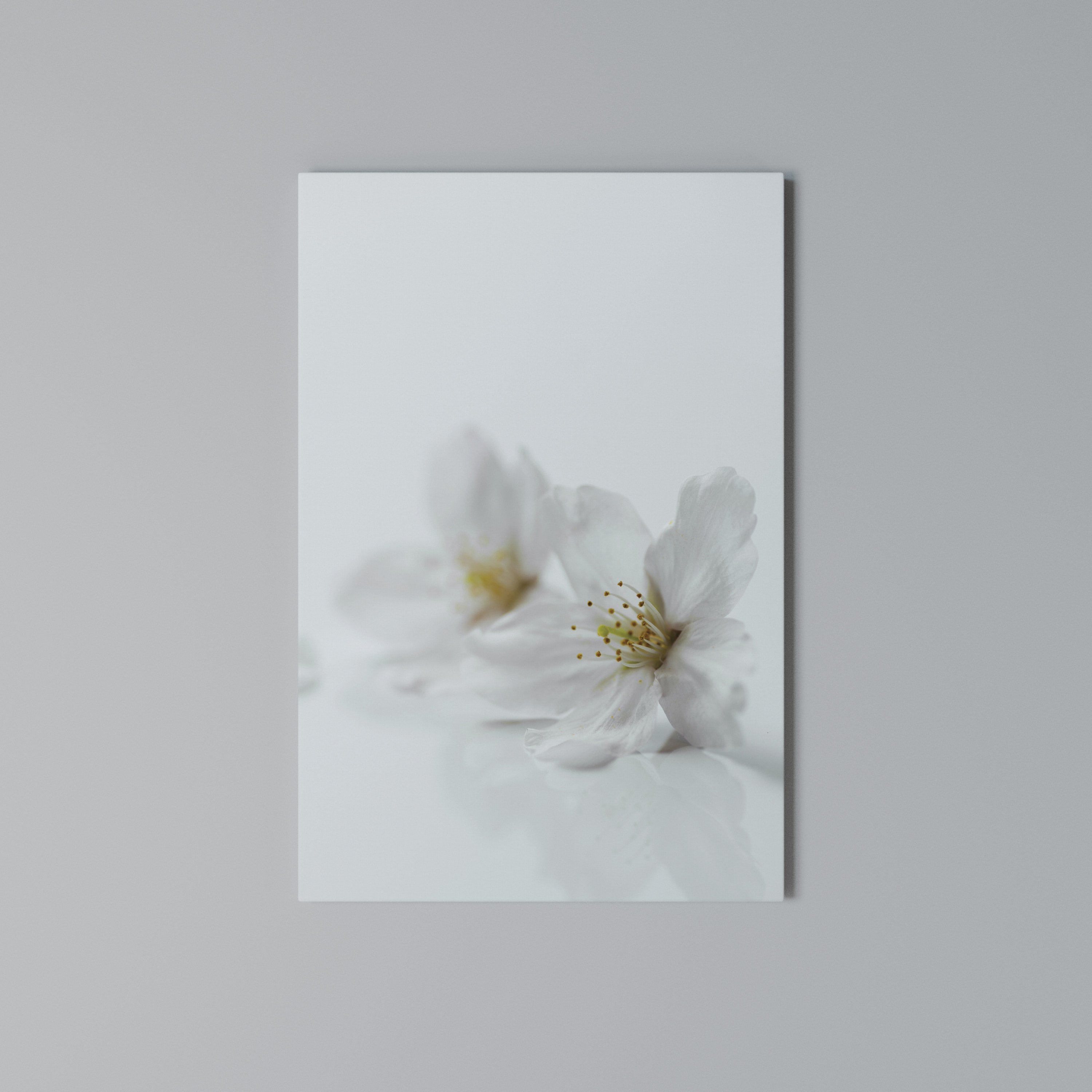 FLEETING WHITE PETALS Κατακόρυφος Πίνακας σε Καμβά