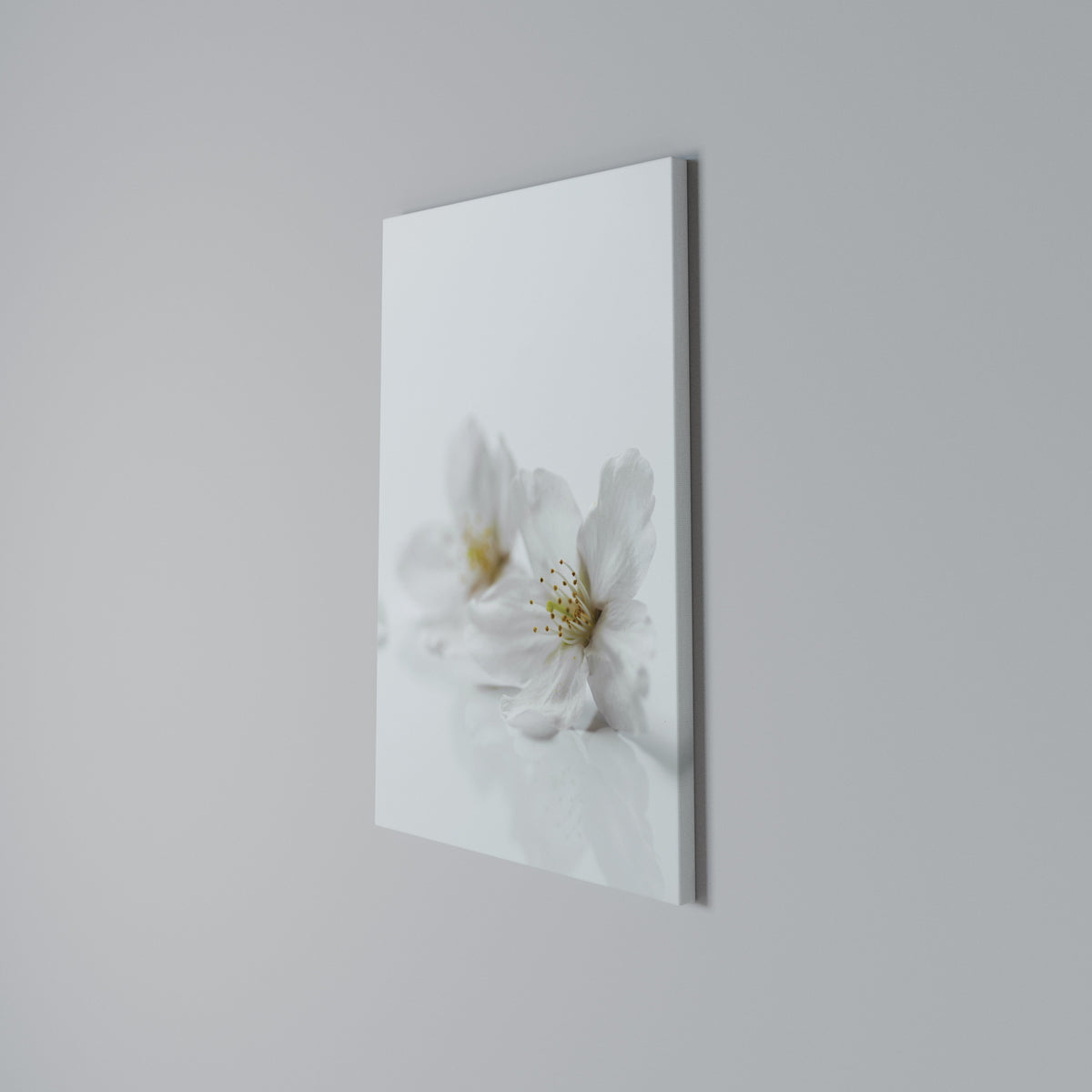 FLEETING WHITE PETALS Κατακόρυφος Πίνακας σε Καμβά