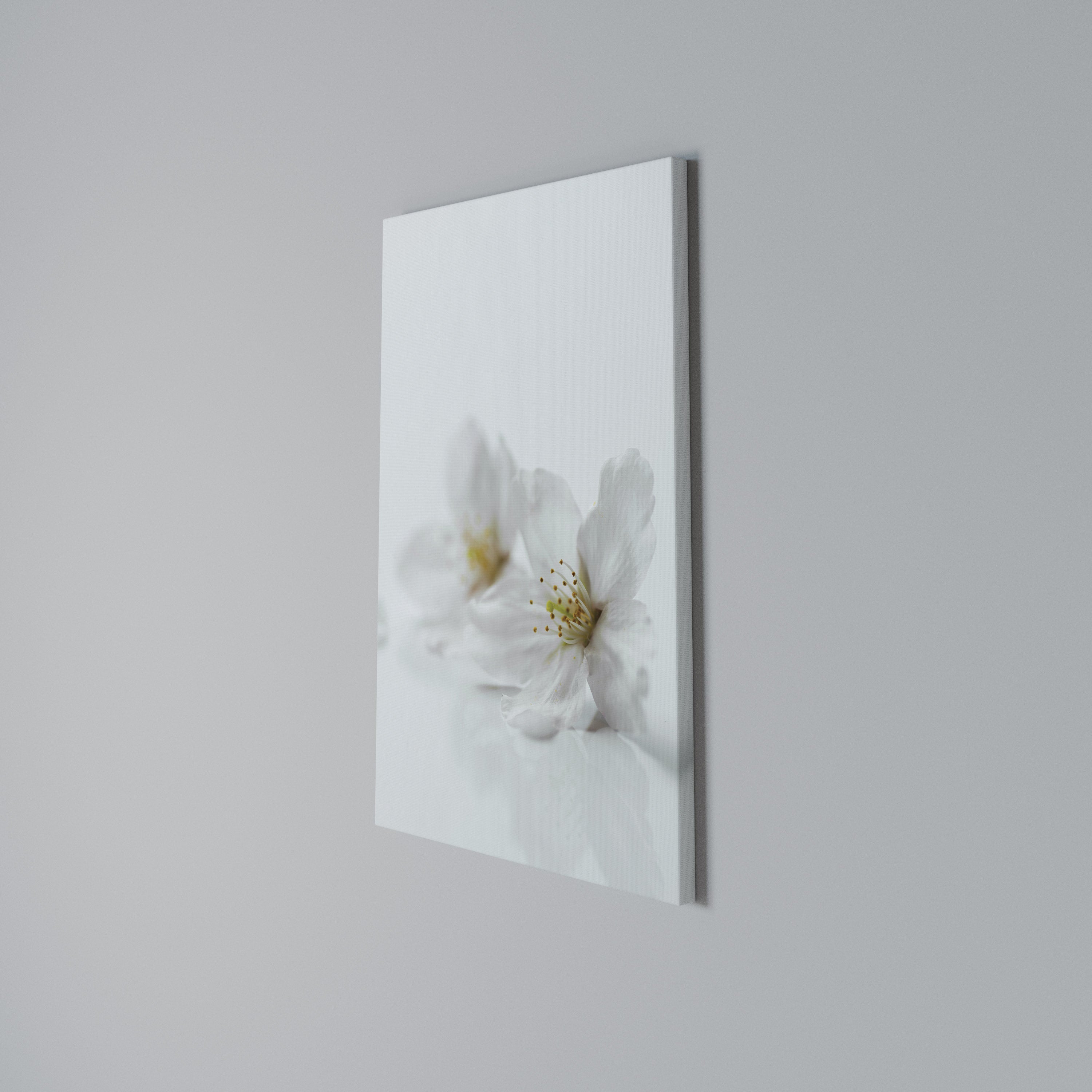 FLEETING WHITE PETALS Κατακόρυφος Πίνακας σε Καμβά