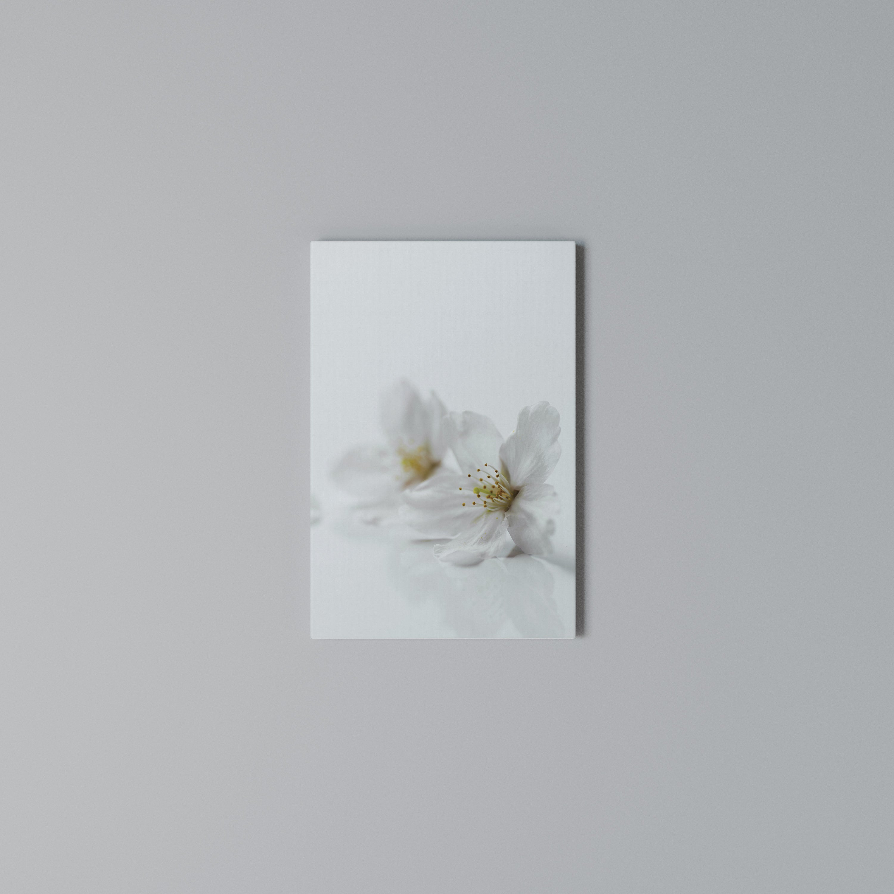 FLEETING WHITE PETALS Κατακόρυφος Πίνακας σε Καμβά