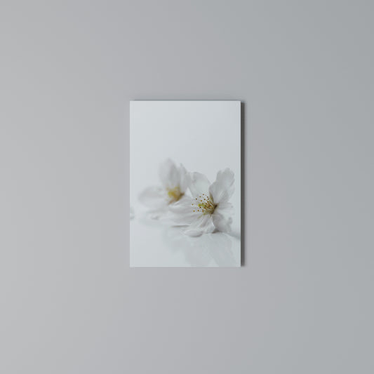 FLEETING WHITE PETALS Κατακόρυφος Πίνακας σε Καμβά