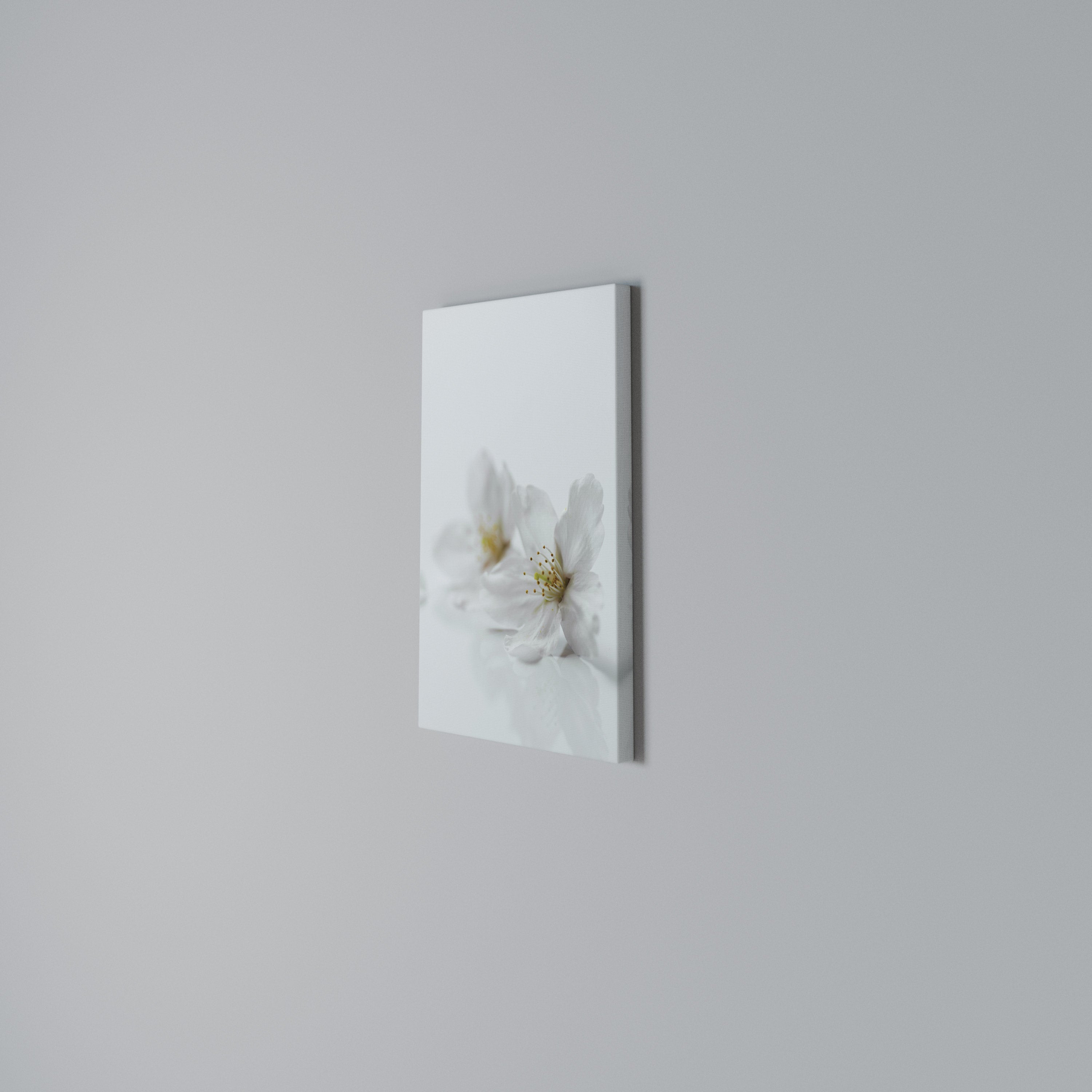 FLEETING WHITE PETALS Κατακόρυφος Πίνακας σε Καμβά
