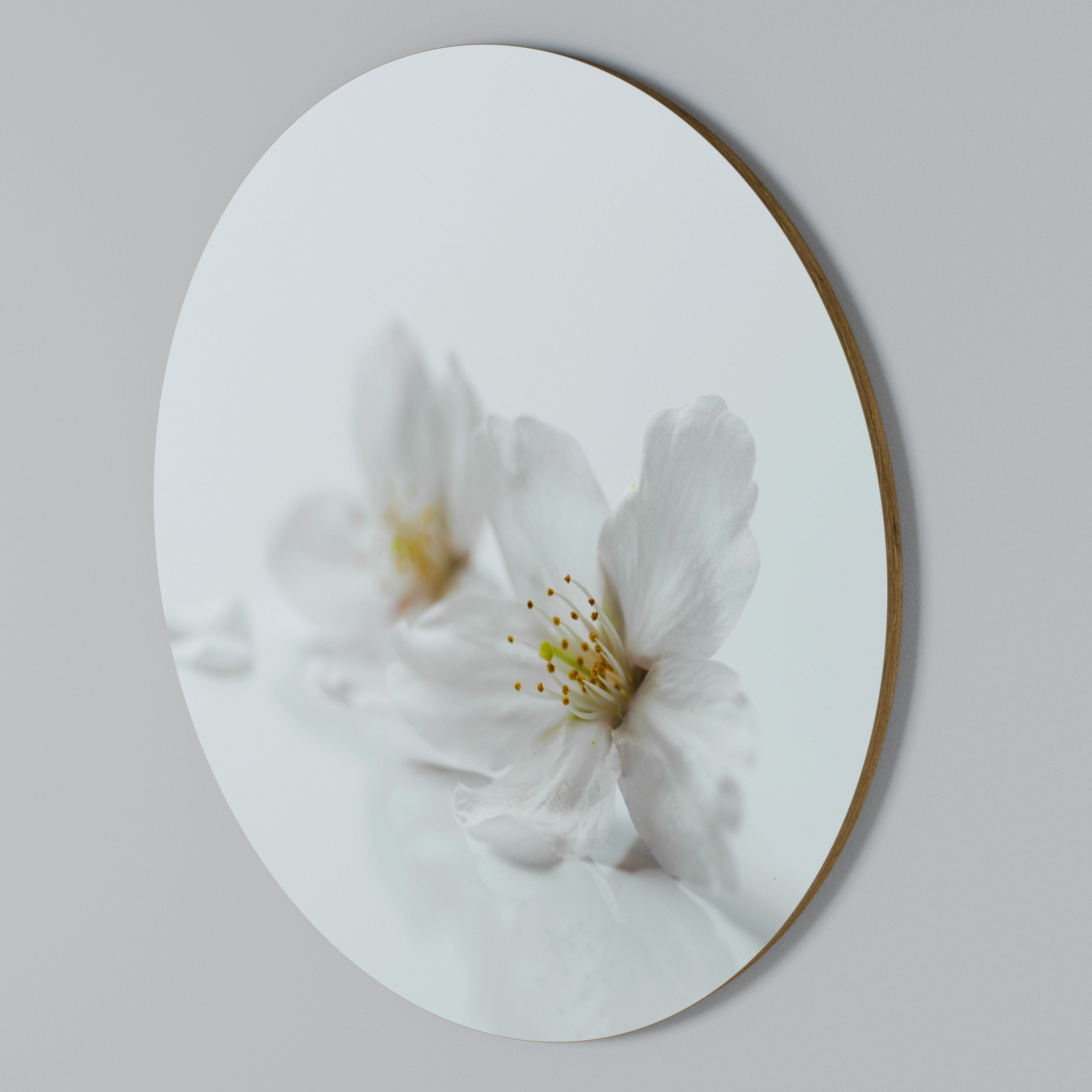 FLEETING WHITE PETALS Round Wall Art