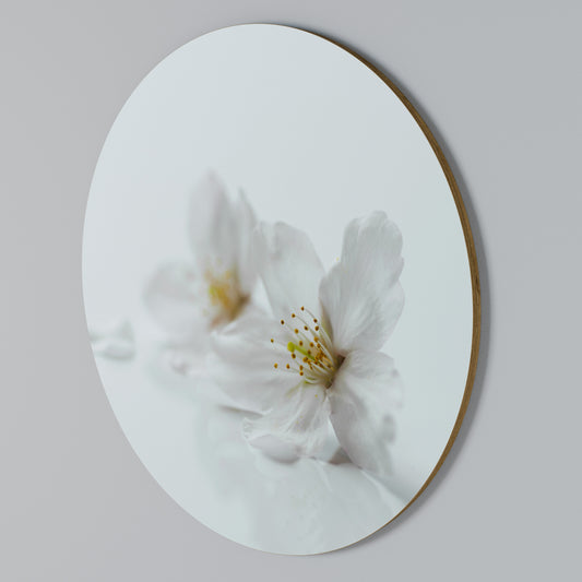 FLEETING WHITE PETALS Στρογγυλός πίνακας ζωγραφικής