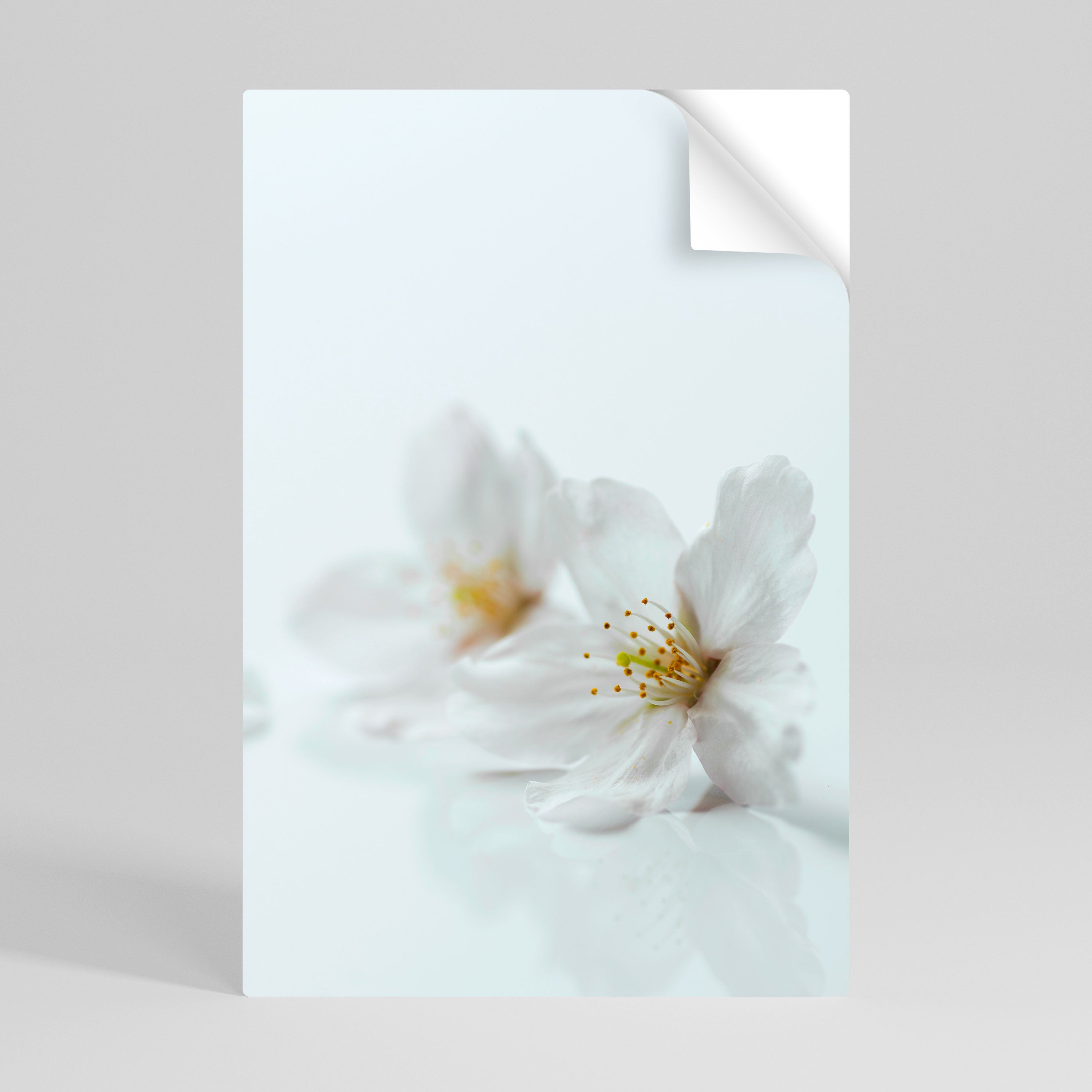 FLEETING WHITE PETALS Peel and Stick Vertical Poster