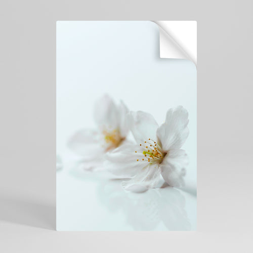 FLEETING WHITE PETALS Αυτοκόλλητη Αφίσα κάθετη