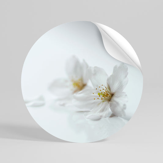 FLEETING WHITE PETALS Αυτοκόλλητη Αφίσα στρογγυλή
