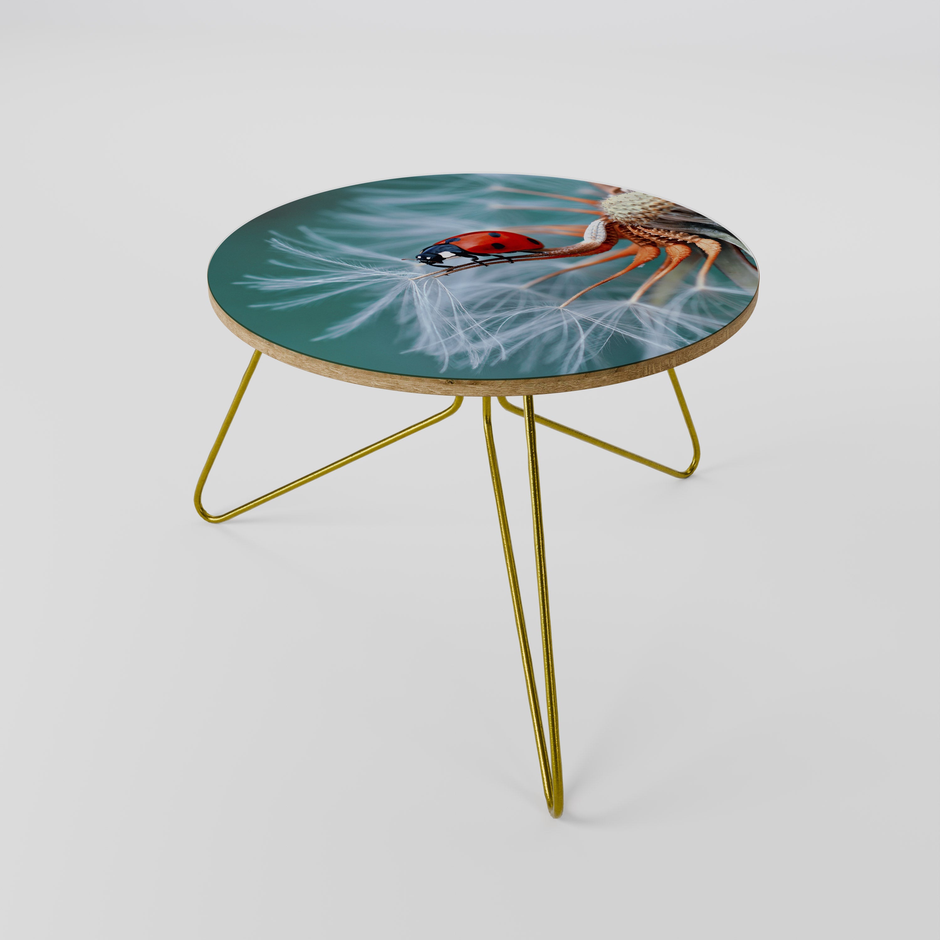 LADYBUG BALANCE Coffee Table 60